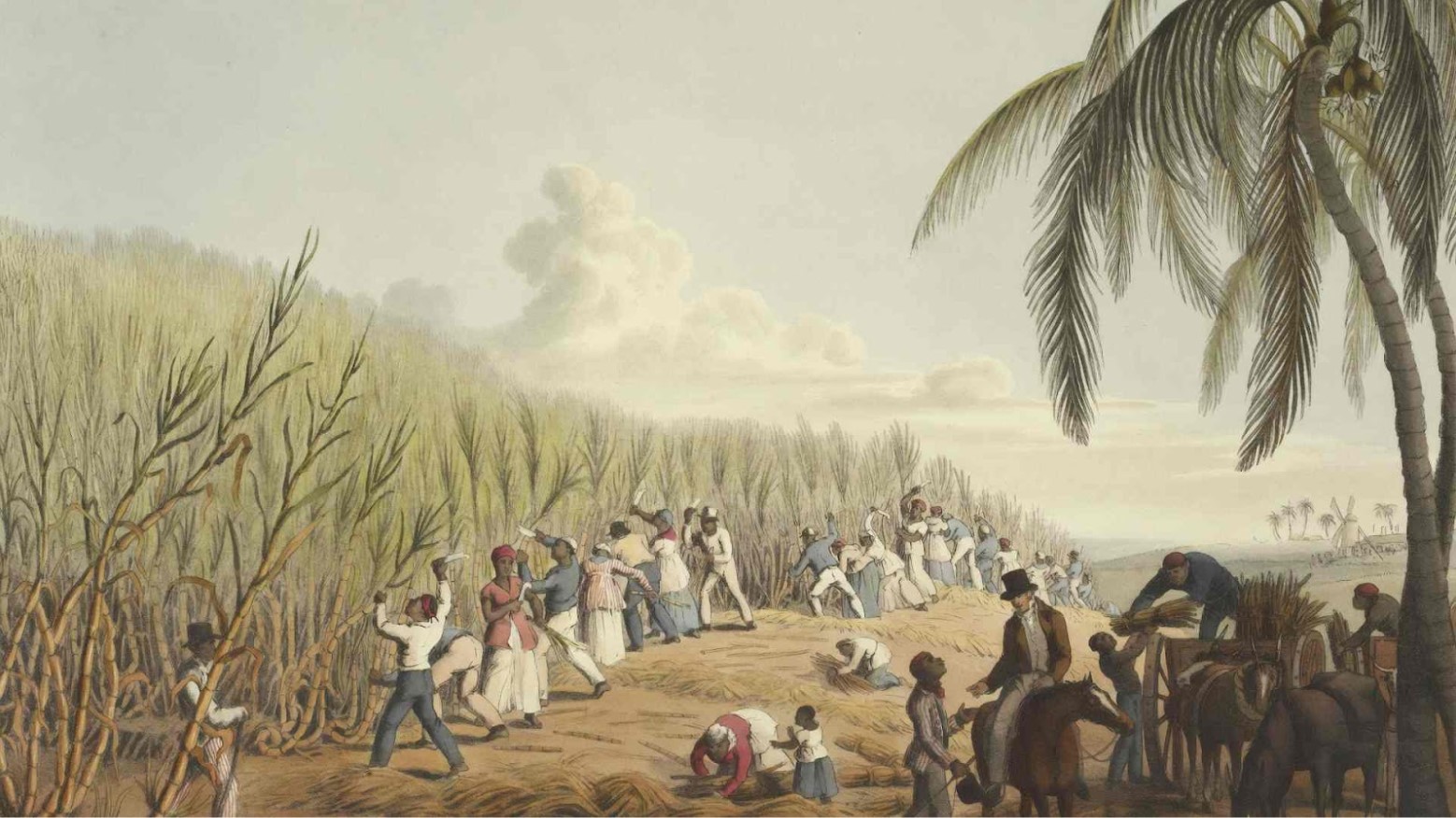 A group of slaves work in a field in this 19th-century painting.