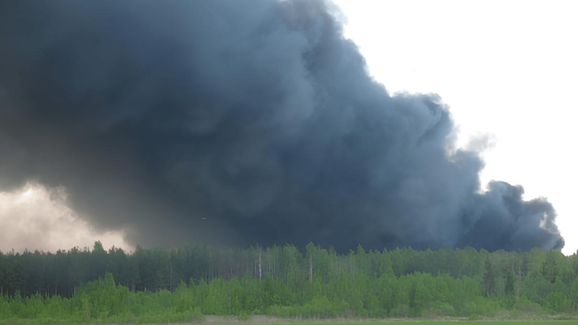 A toxic waste fire. Deep black smoke rises above a forest.