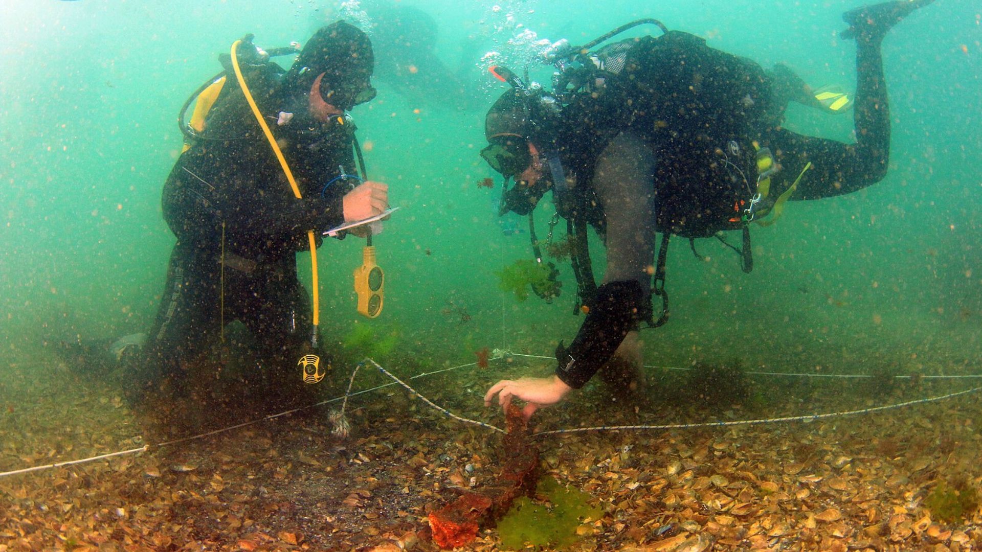 Two scuba divers are conducting an underwater archaeological survey in greenish, murky water. They are equipped with dive gear and are working close to the lakebed, which is covered with fallen leaves