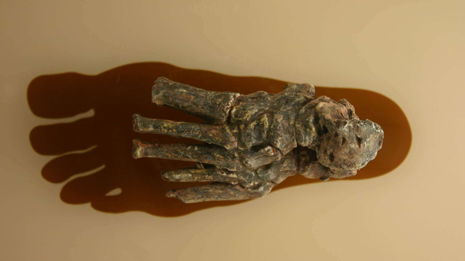 A foot belonging to an ancient human.
