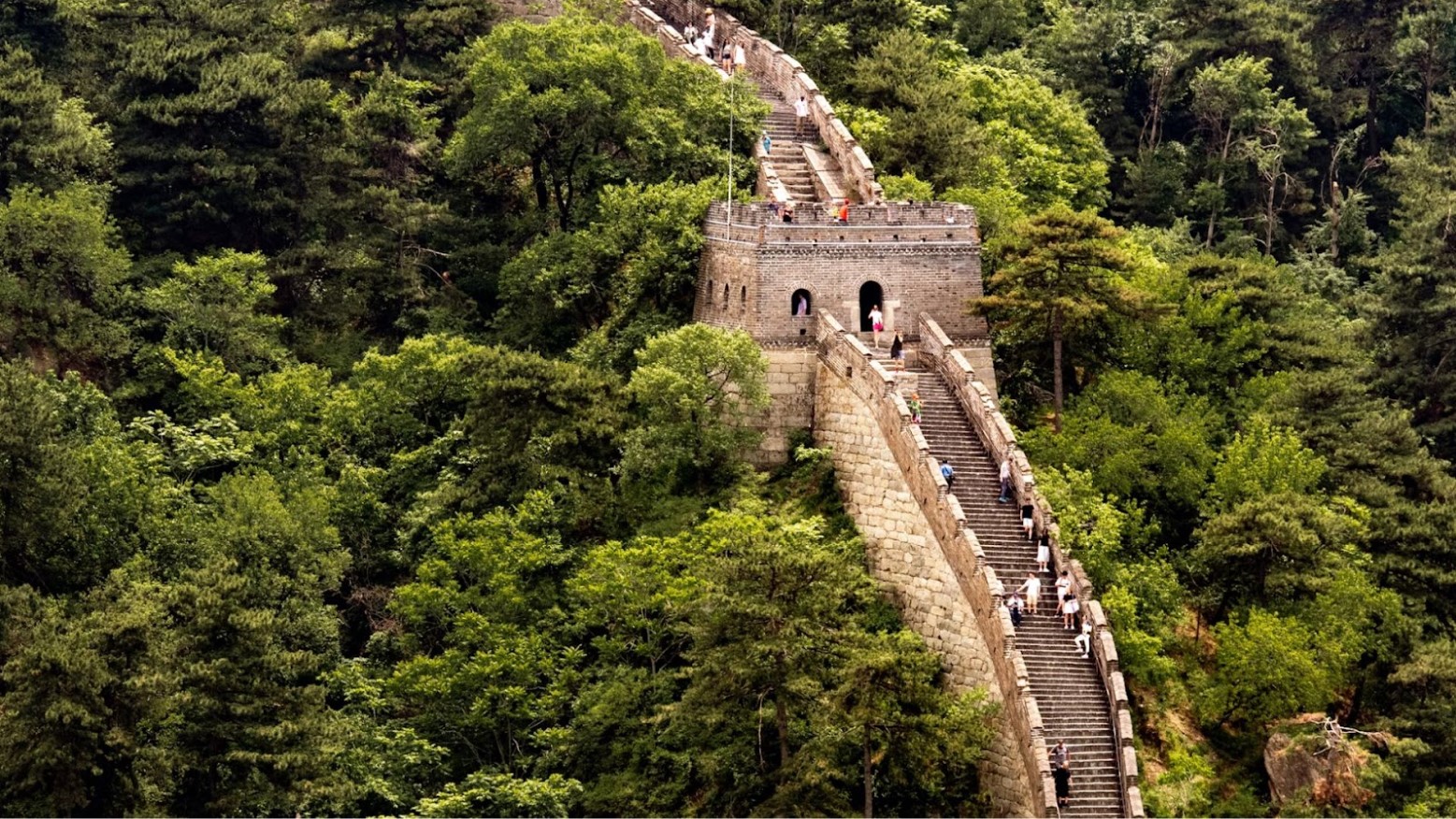 An aerial view of the Great Wall of China. The view shows some steps going upwards with people on the steps. Green trees are on either side of the wall.