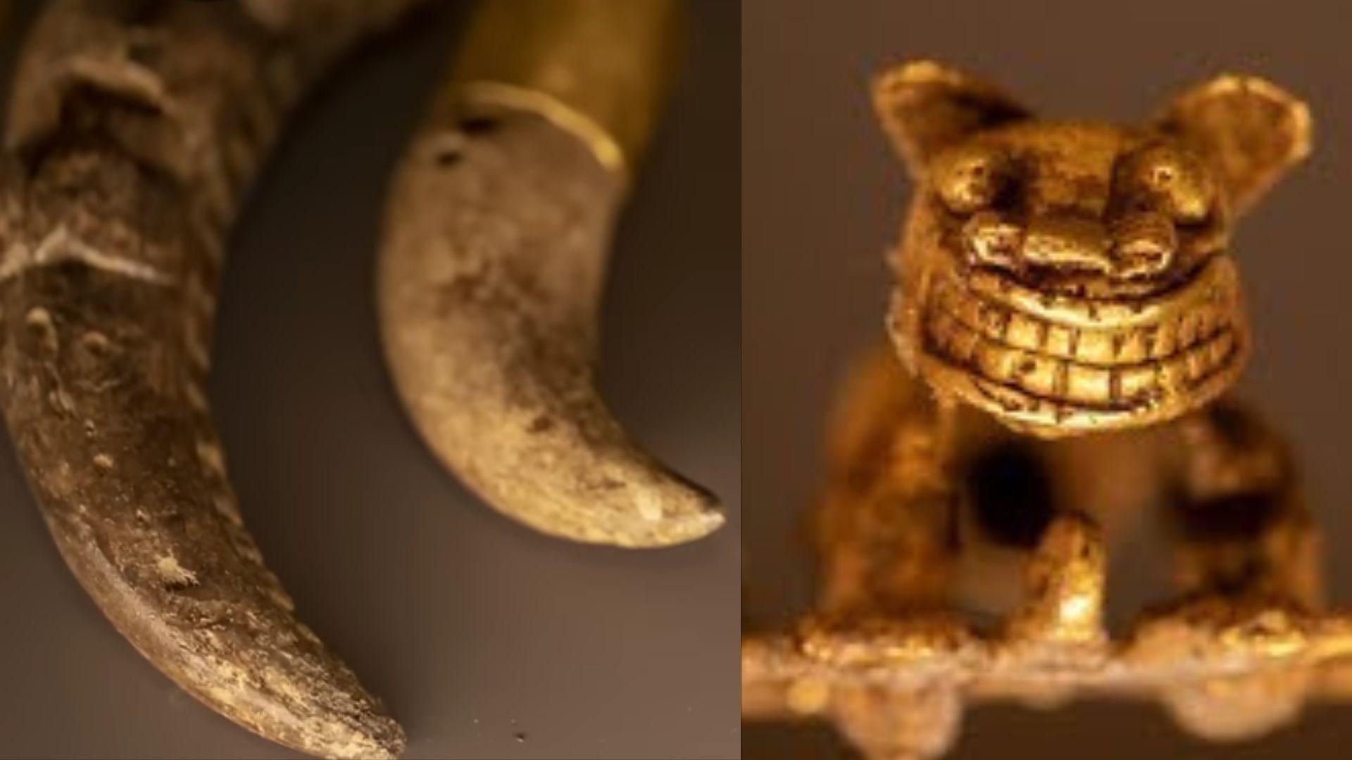 Gold plated whales teeth and intricate gold statue found in tomb No. 9 at the El Caño archaeological site in Panama