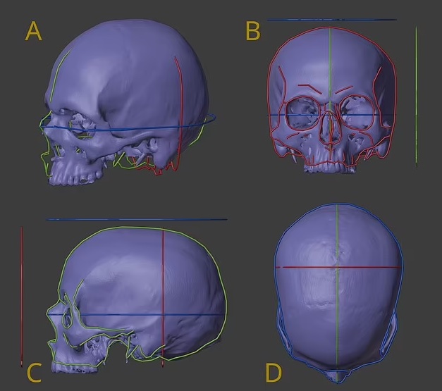 A CGI image of four purple skulls against a black background