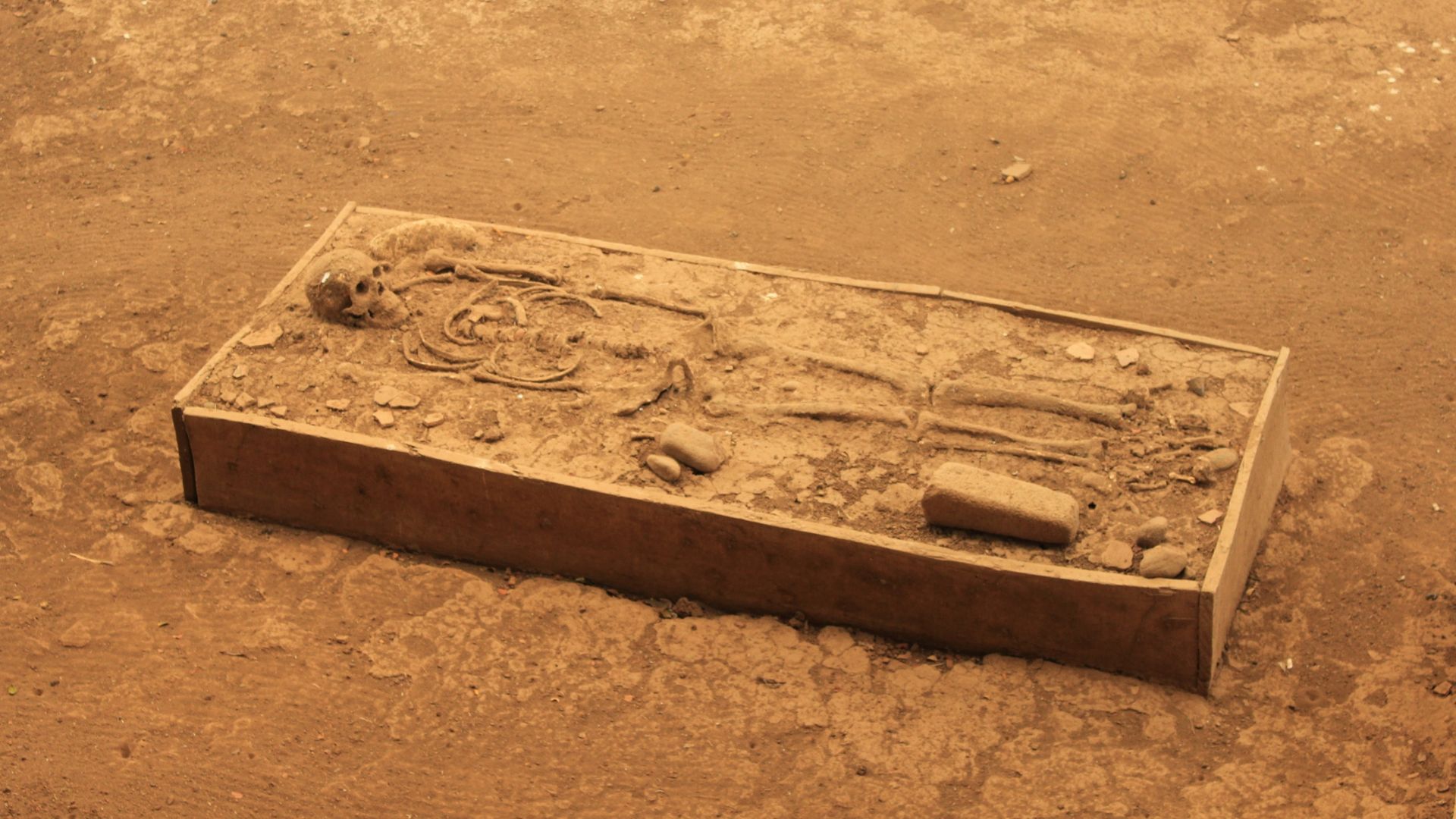 A box containing the skeletal remains of a human at the El Caño Archaeological Park in Panama.