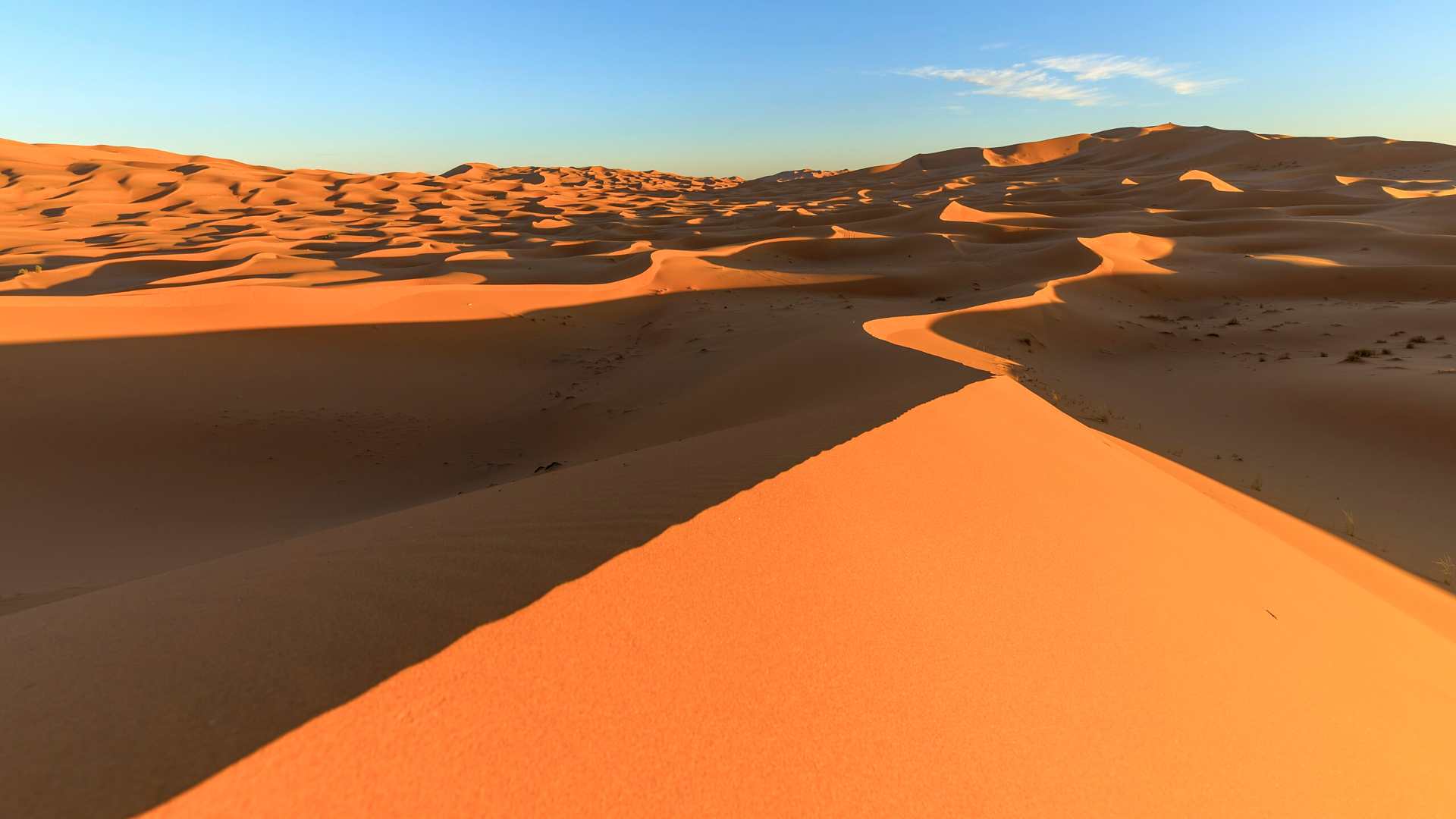 The Erg Chebbi sand dunes in Morroco.