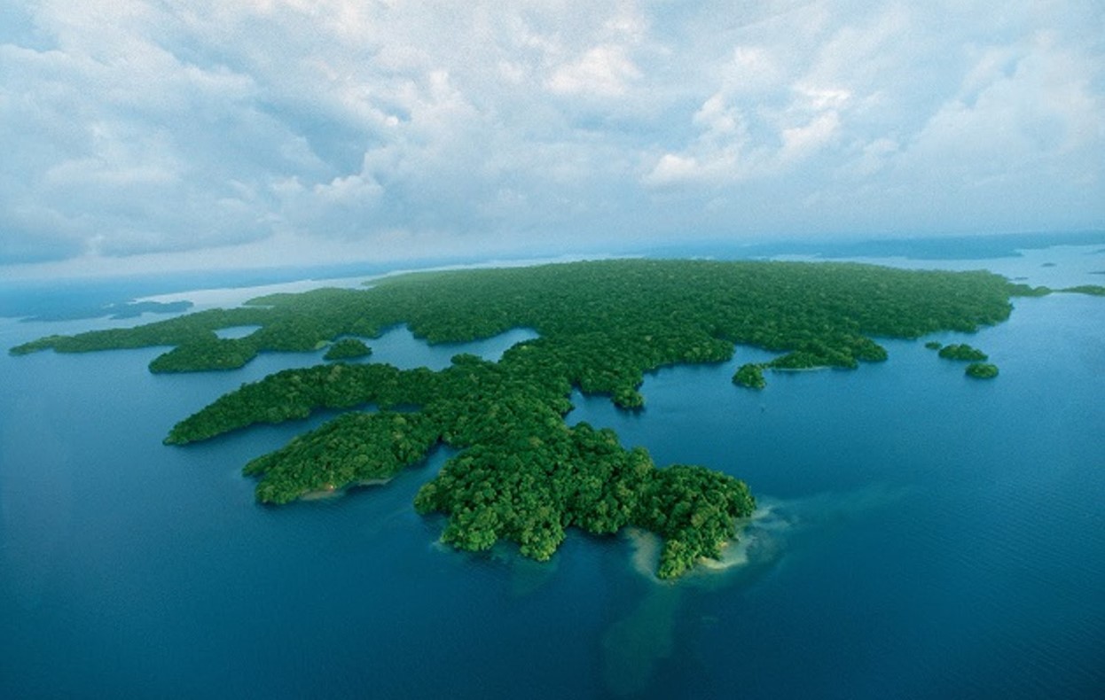 Aerial view of Barro Colorado Island in the Panama Canal