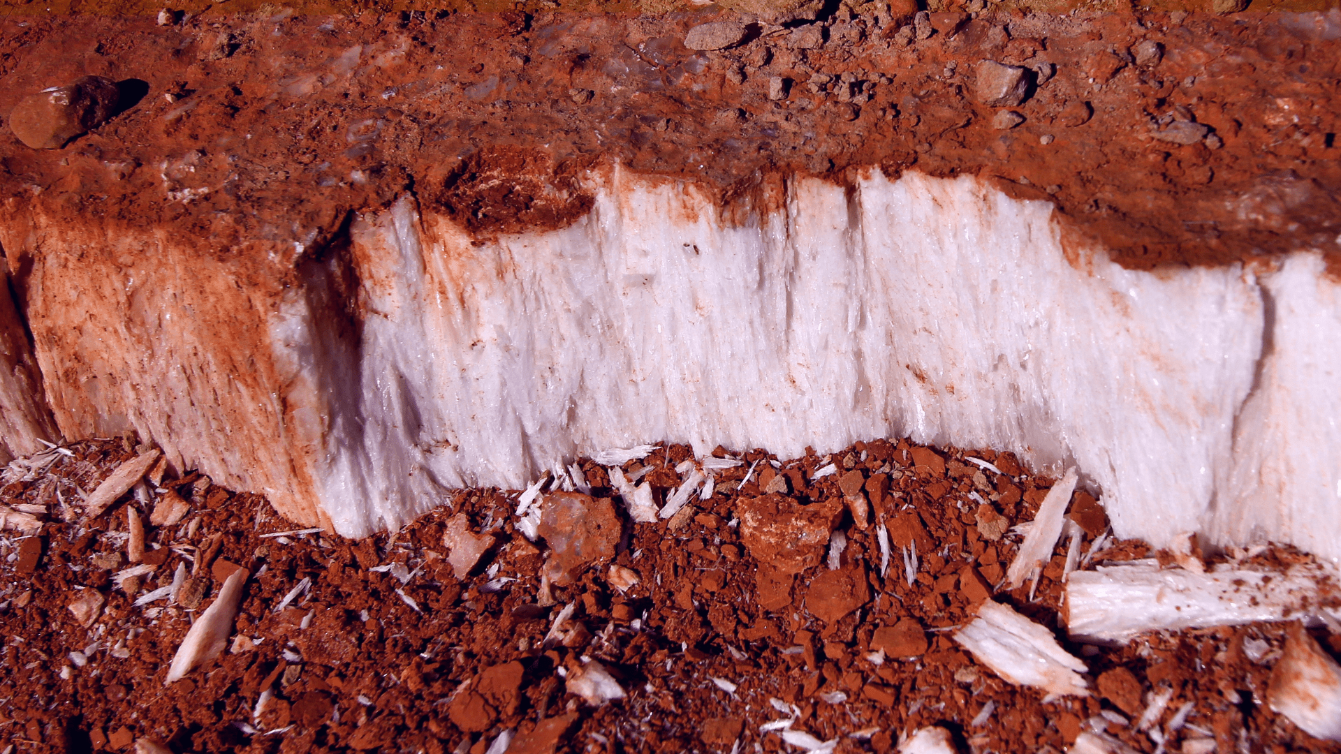 Satin spar gypsum in sedimentary rock in Caprock Canyons State Park, Texas, United States.