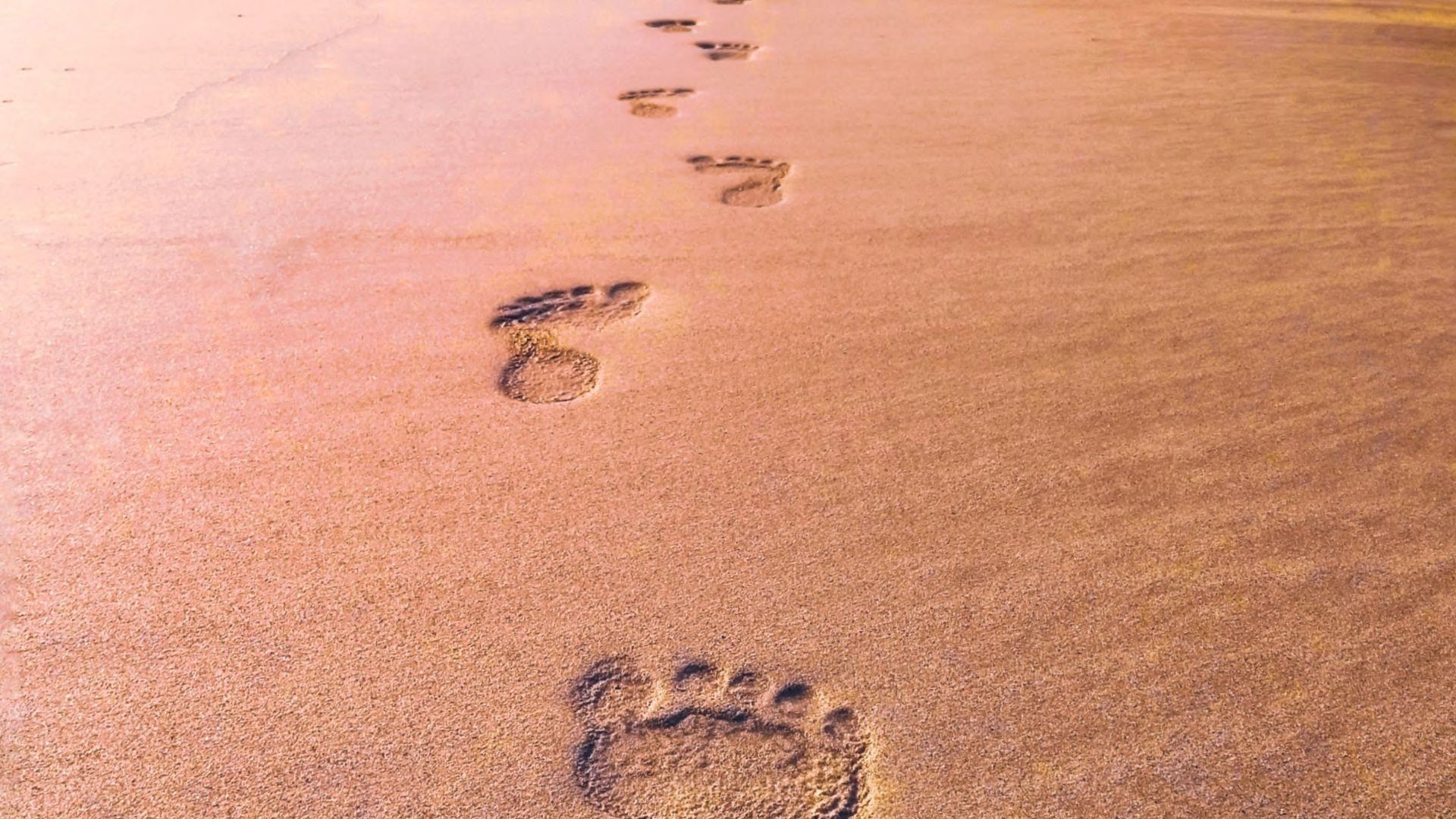 A close-up view footprints in the sand