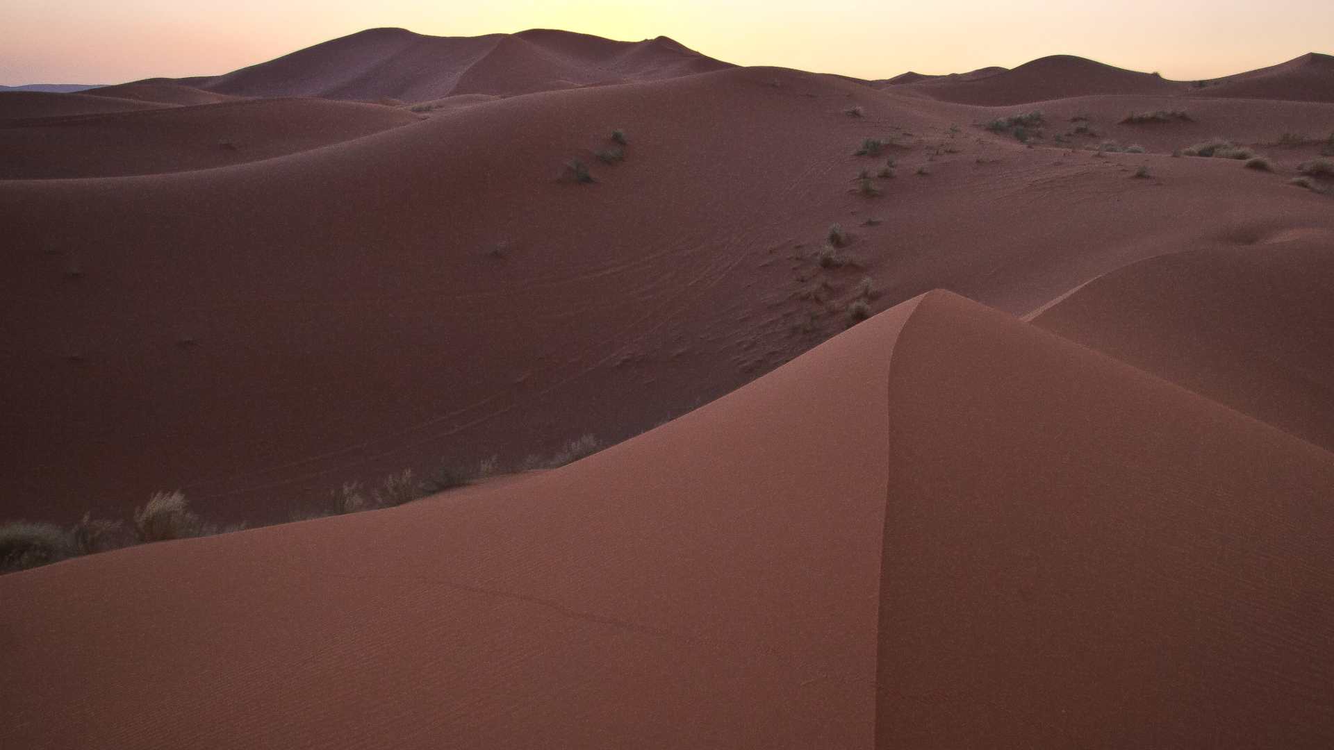 A photo of the Erg Chebbi sand dunes.