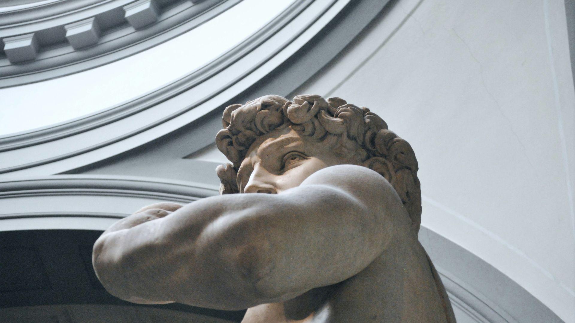 A close-up of Michelangelo’s statue David and its eyes.
