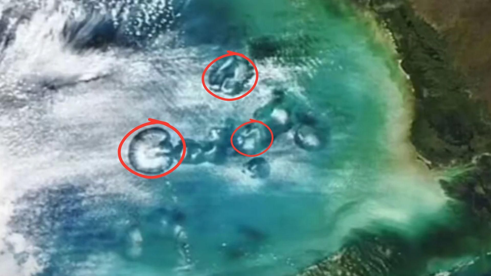 NASA’s satellite photo of the Gulf of Mexico showing several circular clouds