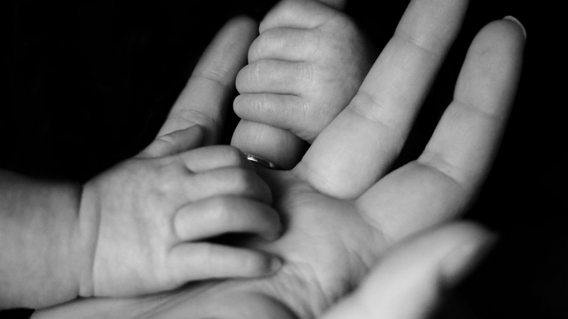 A baby holds an adult’s hand in a black-and-white photo.