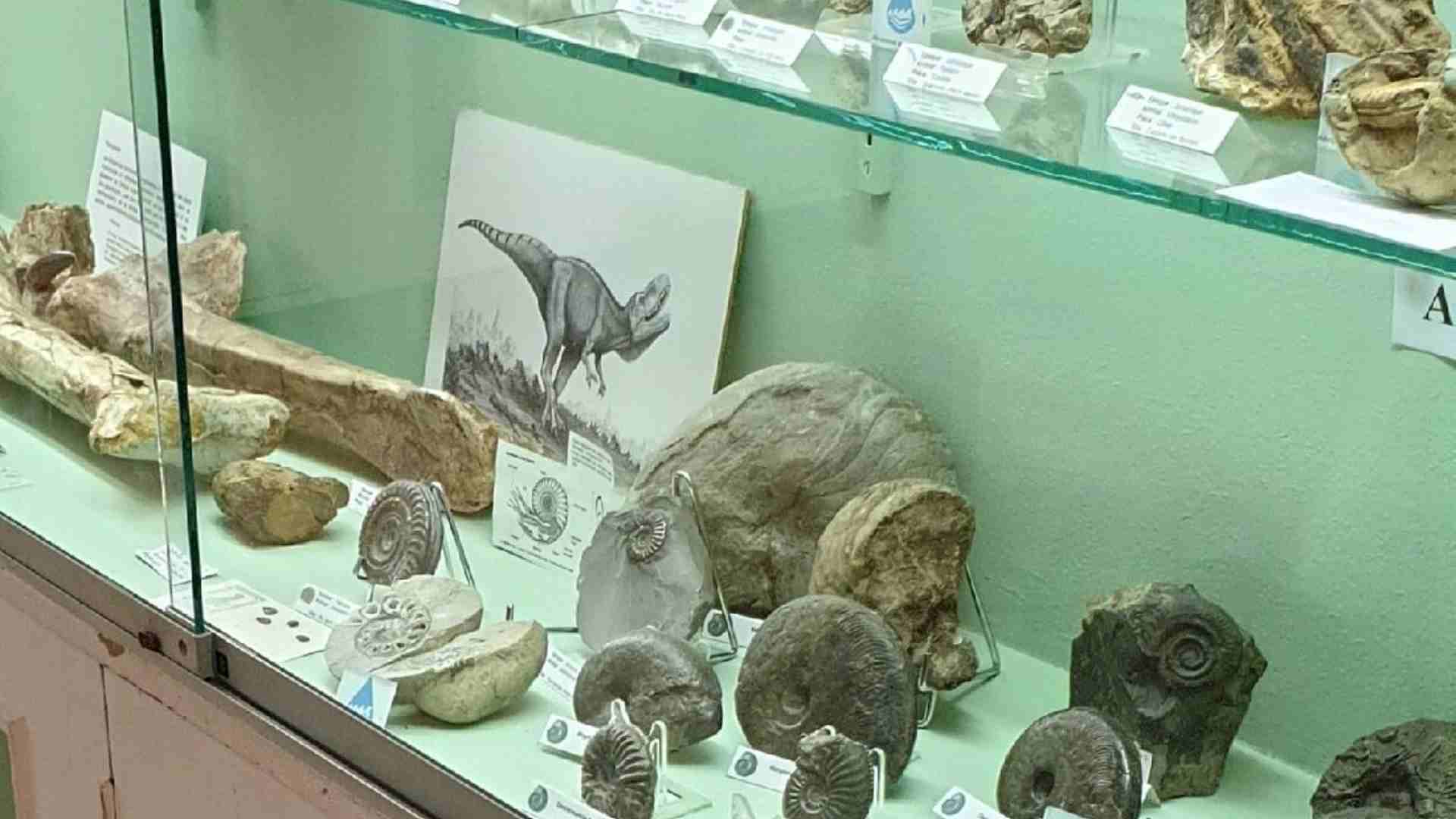An exhibit from the Cruzy Museum in France.