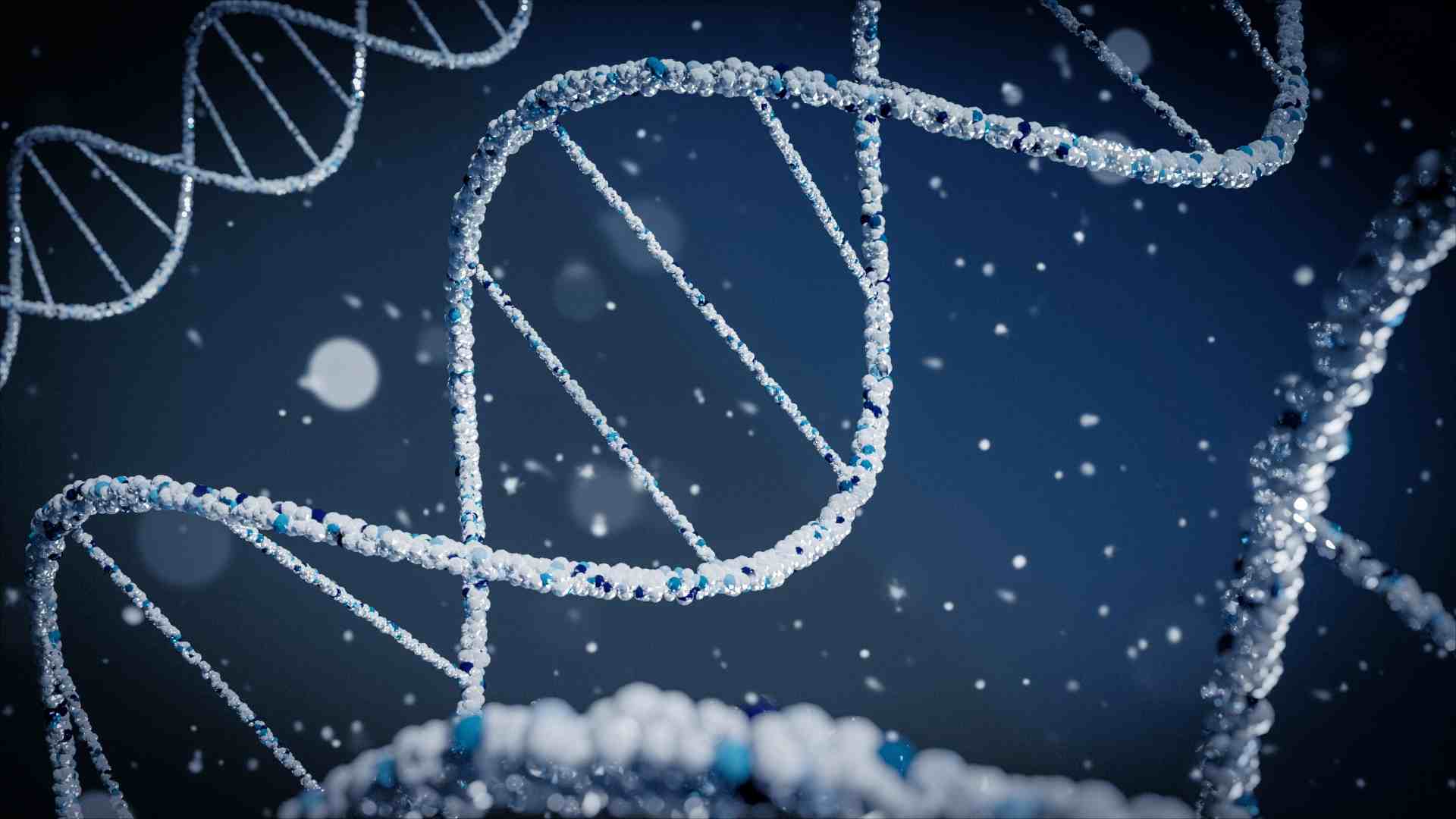A artist rpresentation of a DNA strand.