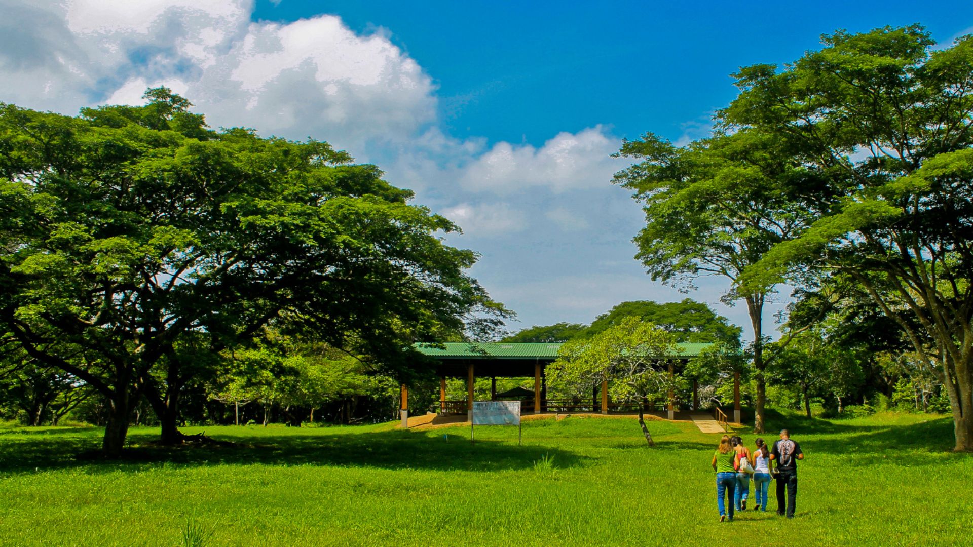 People walking on the grass in land that was associated with the Coclé in the El Caño Archaeological Park in Panama.