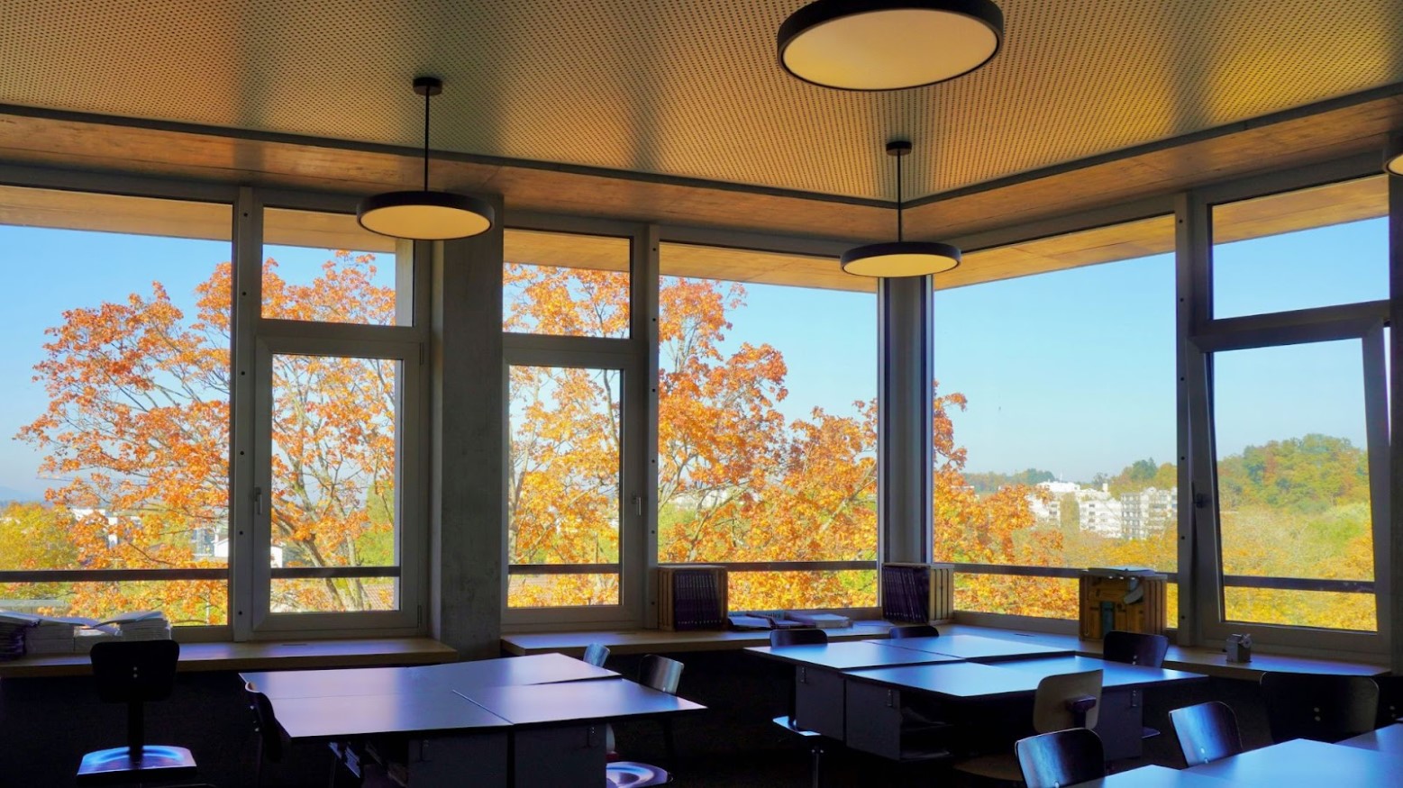 The interior of a classroom with a large auburn tree in the background just outside of the windows