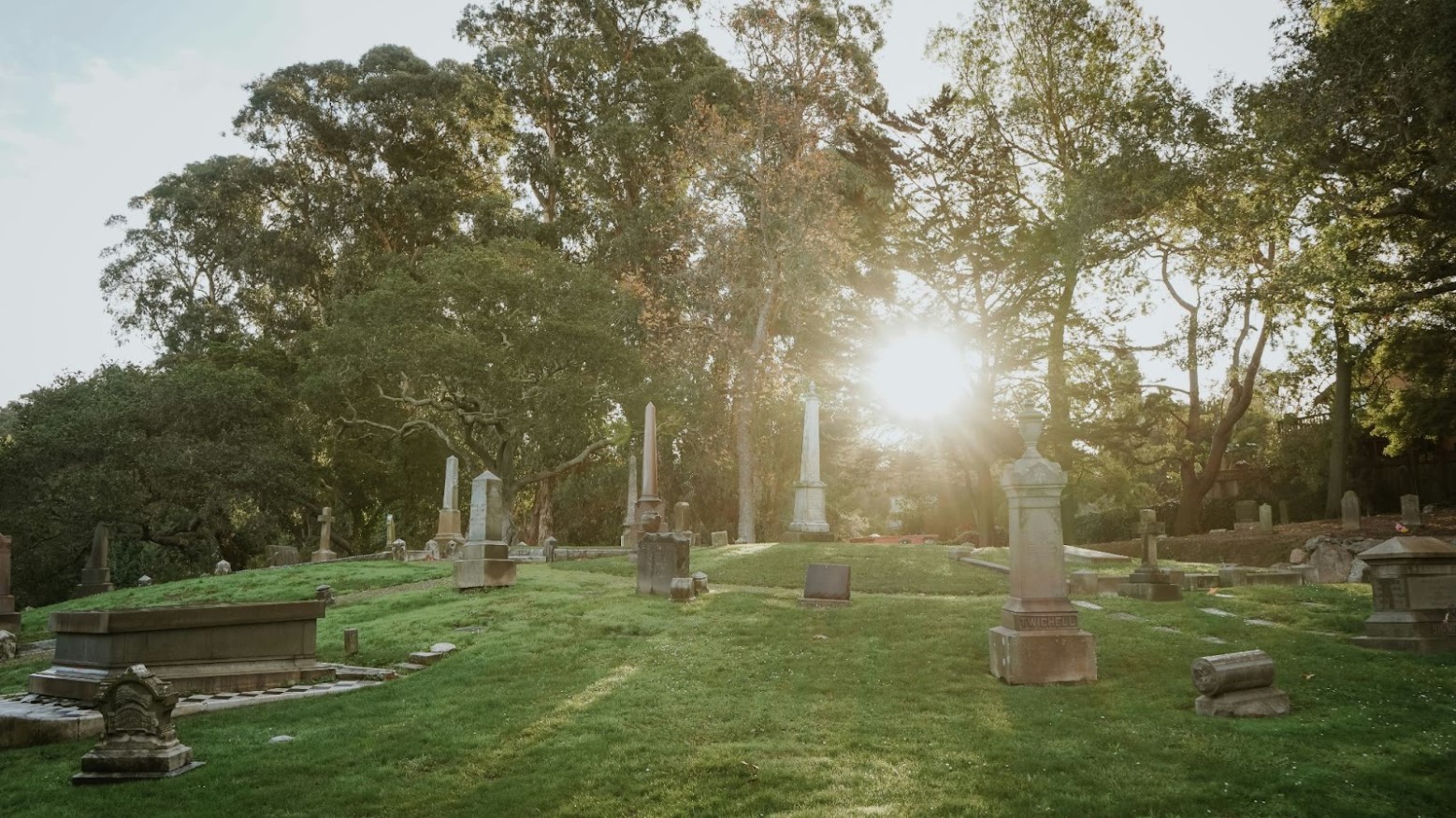 A cemetery with green grass and many trees that the sunlight filters through.