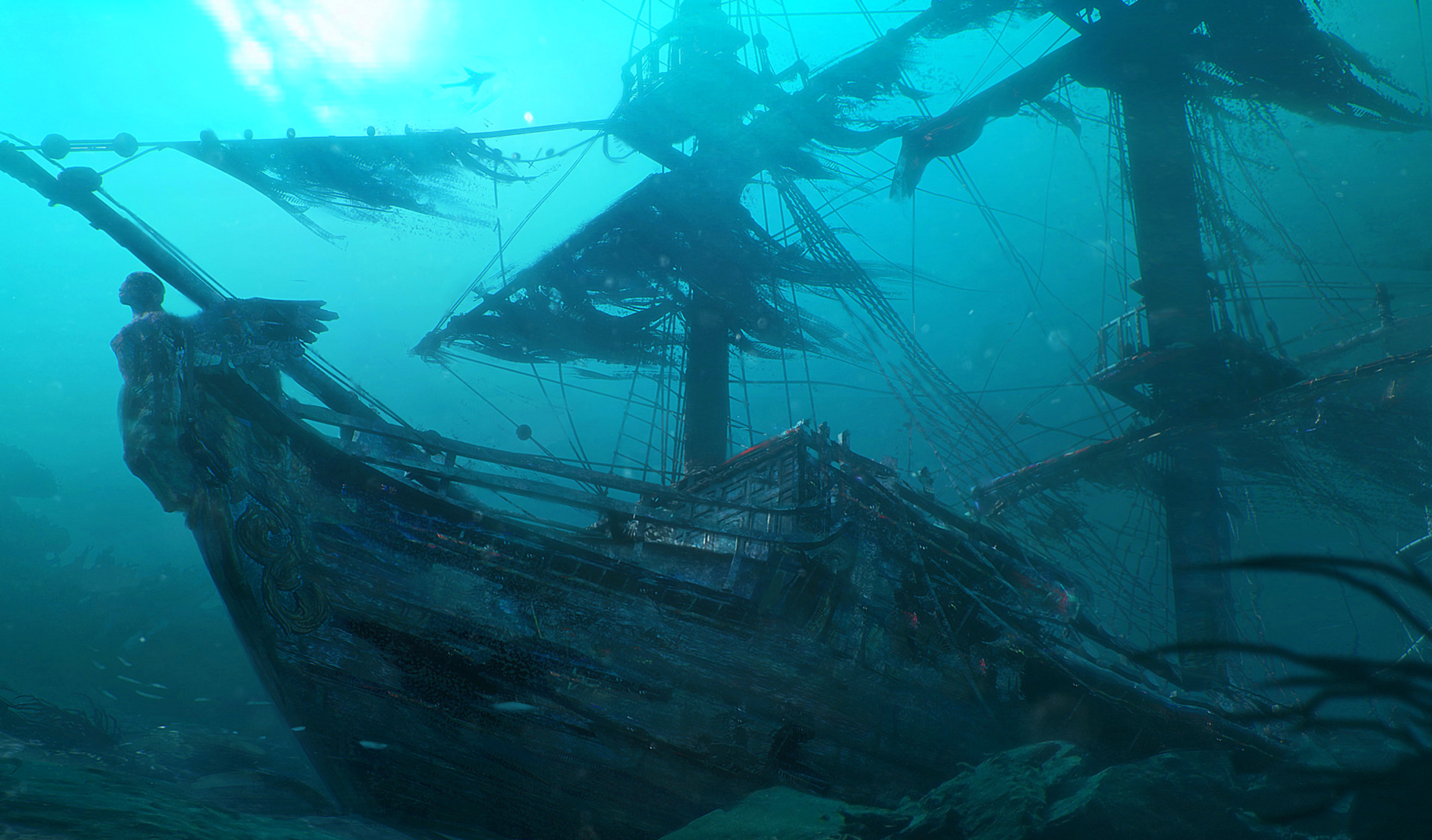An underwater image of a pirate shipwreck