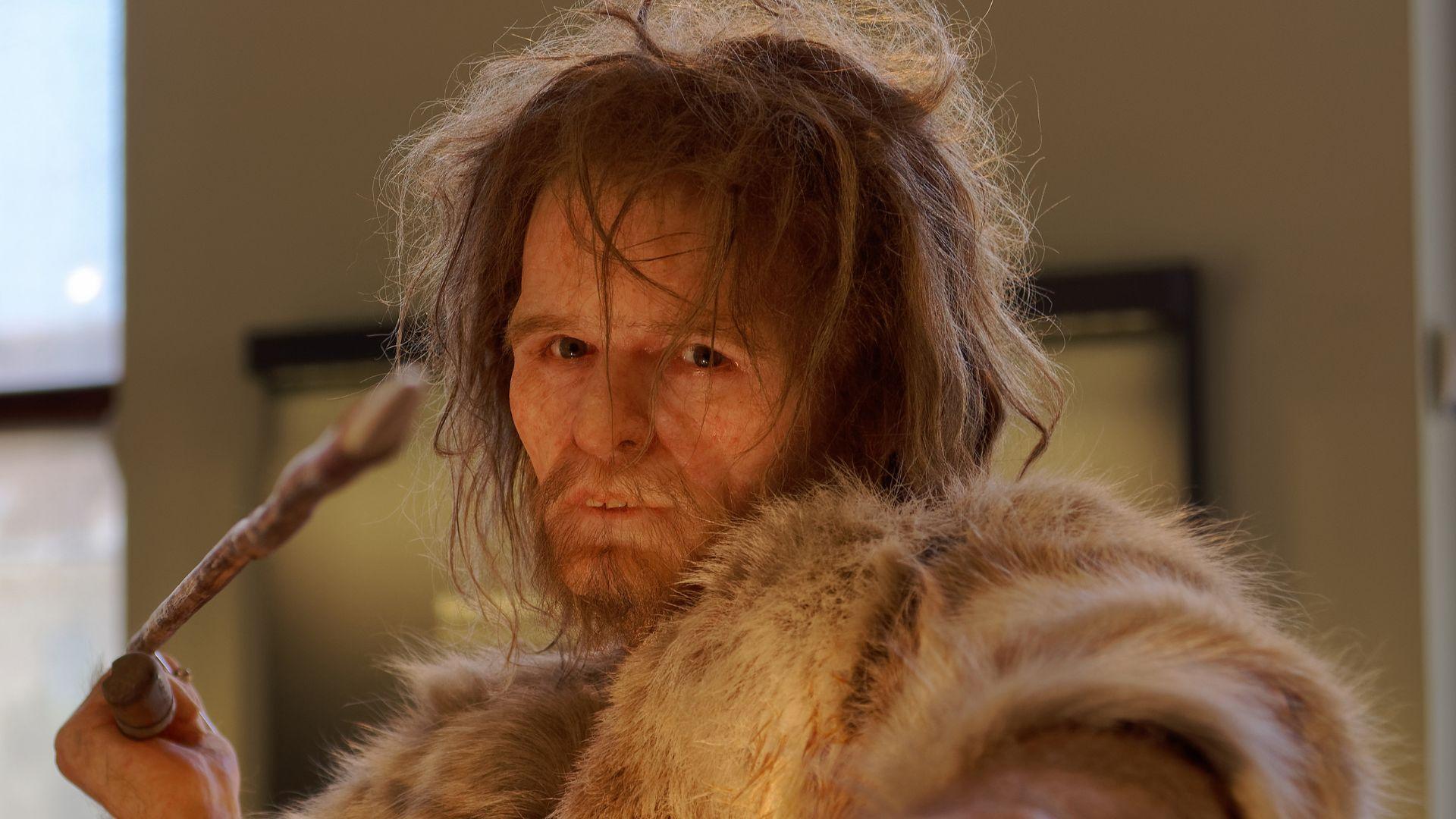 An artistic model of a Neanderthal man holding a spear in a museum.
