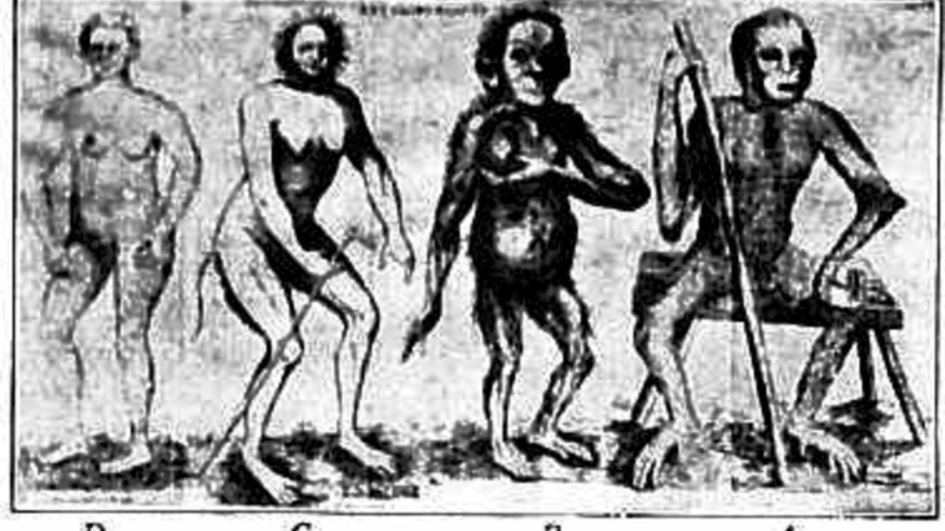 A drawing of four different evolutions of humans. The second one has a tail.
