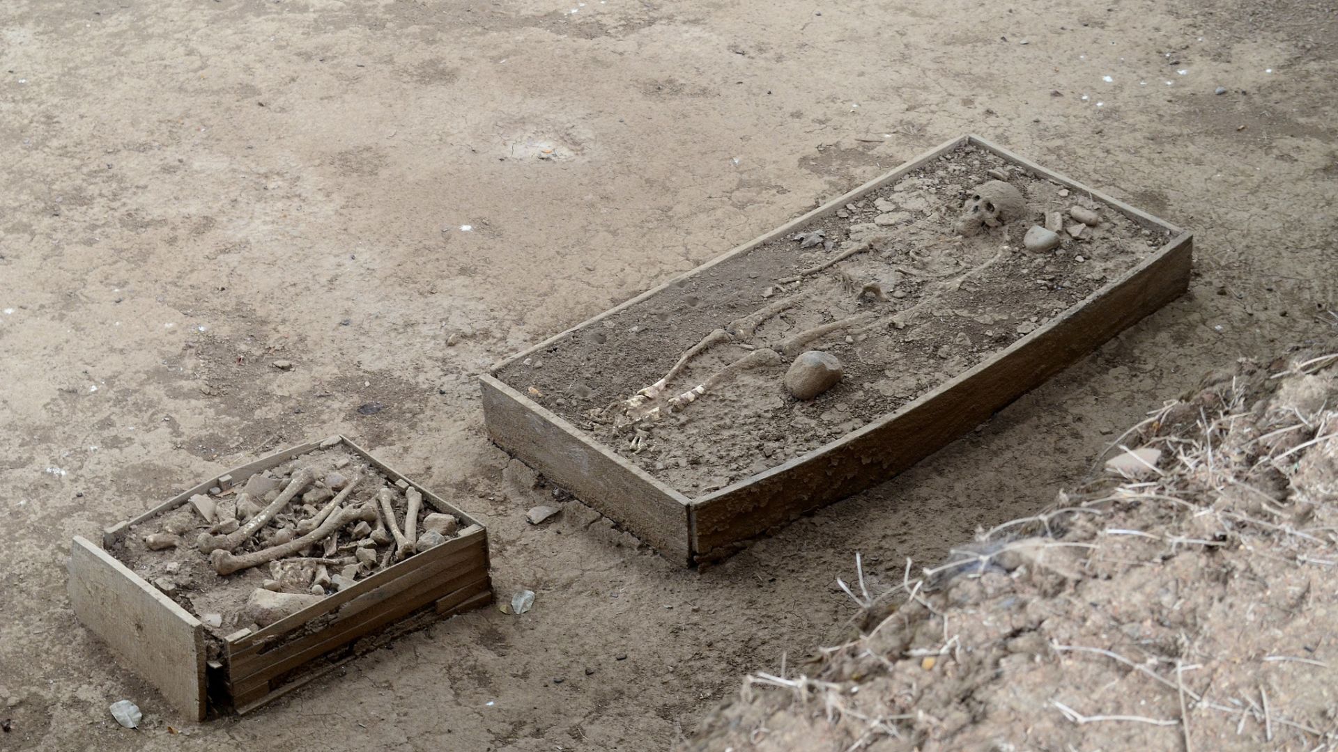 Two boxes containing skeletal remains seen at the El Caño Archaeological Park in Panama.
