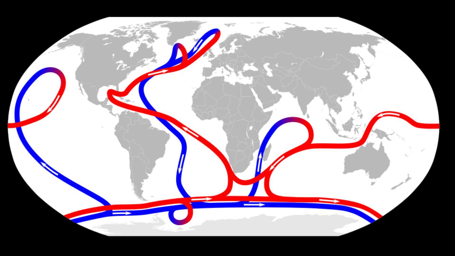 This map shows the pattern of the thermohaline circulation, also known as "meridional overturning circulation"