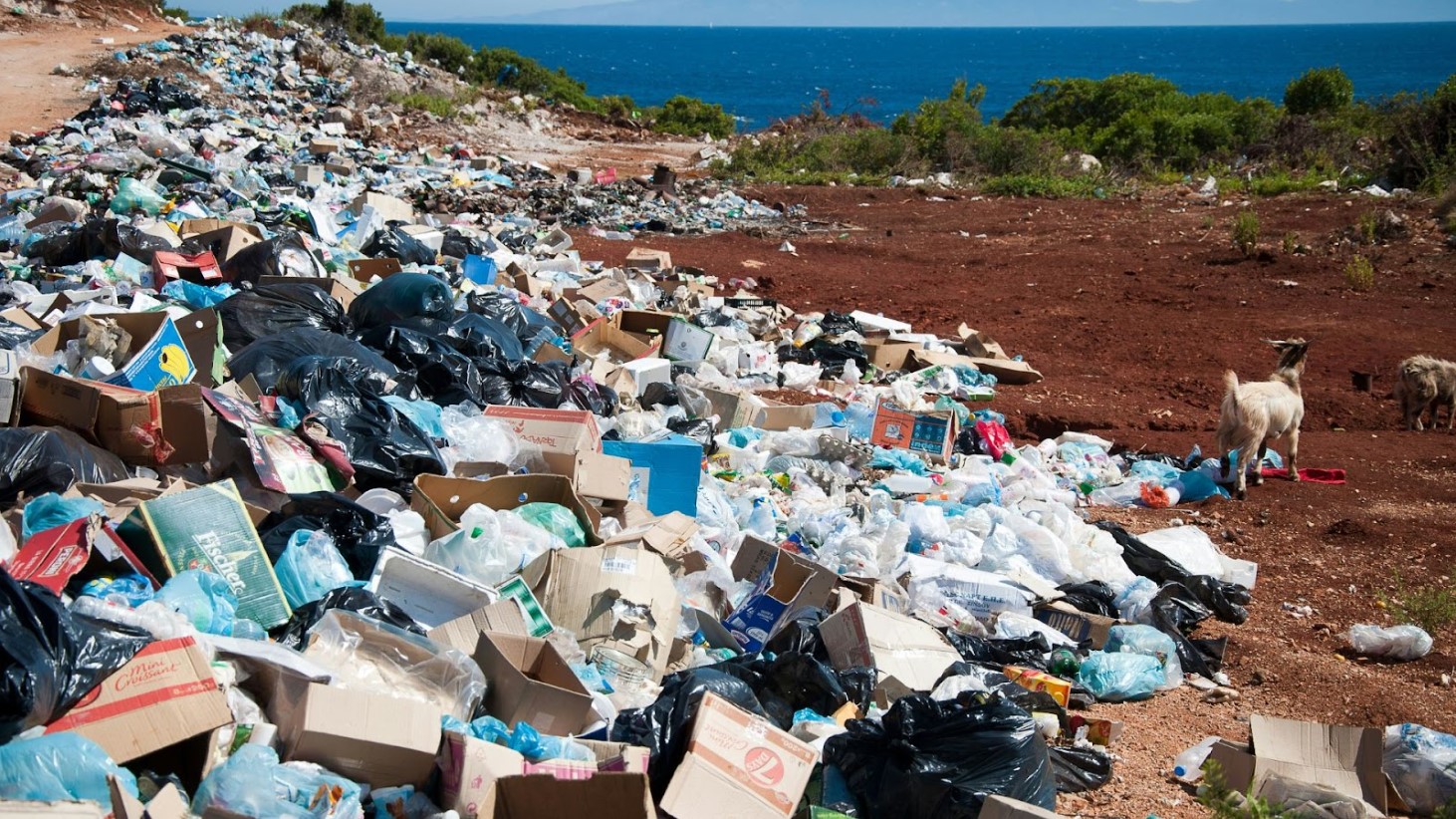 An expansive landfill overflowing with garbage such as plastic bags, boxes, and assorted refuse, situated on a coastal area with the ocean in the background