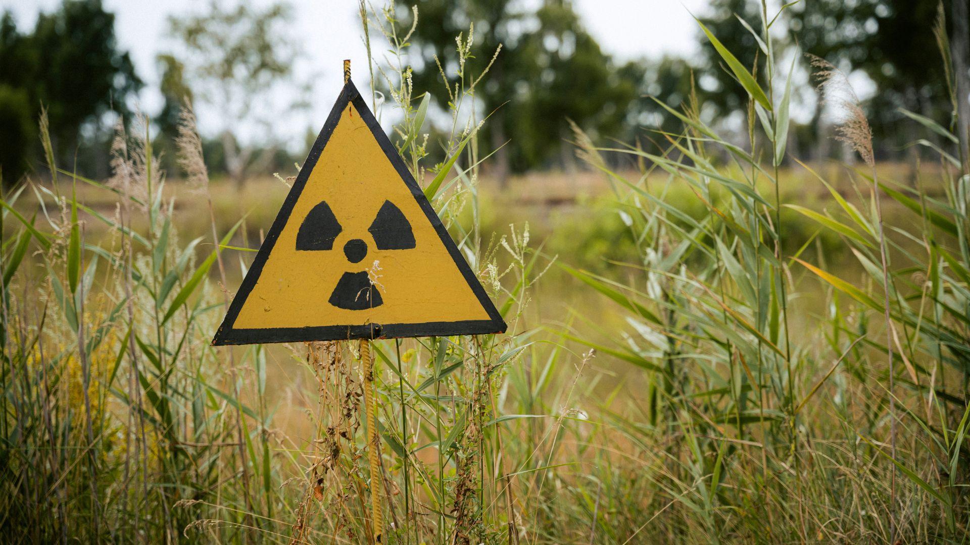 A yellow and black radioactive sign staked into the ground by green grass outside.