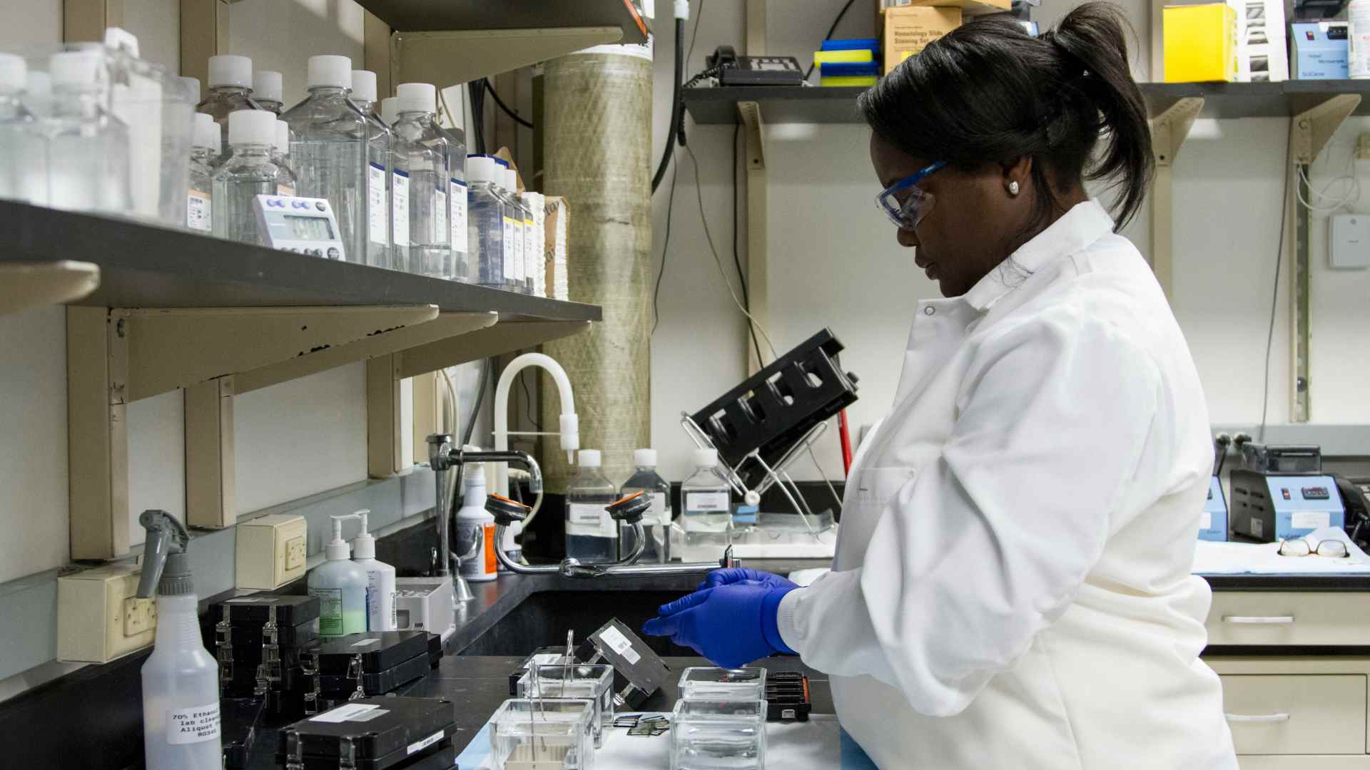 A scientist responsible for DNA sequencing.