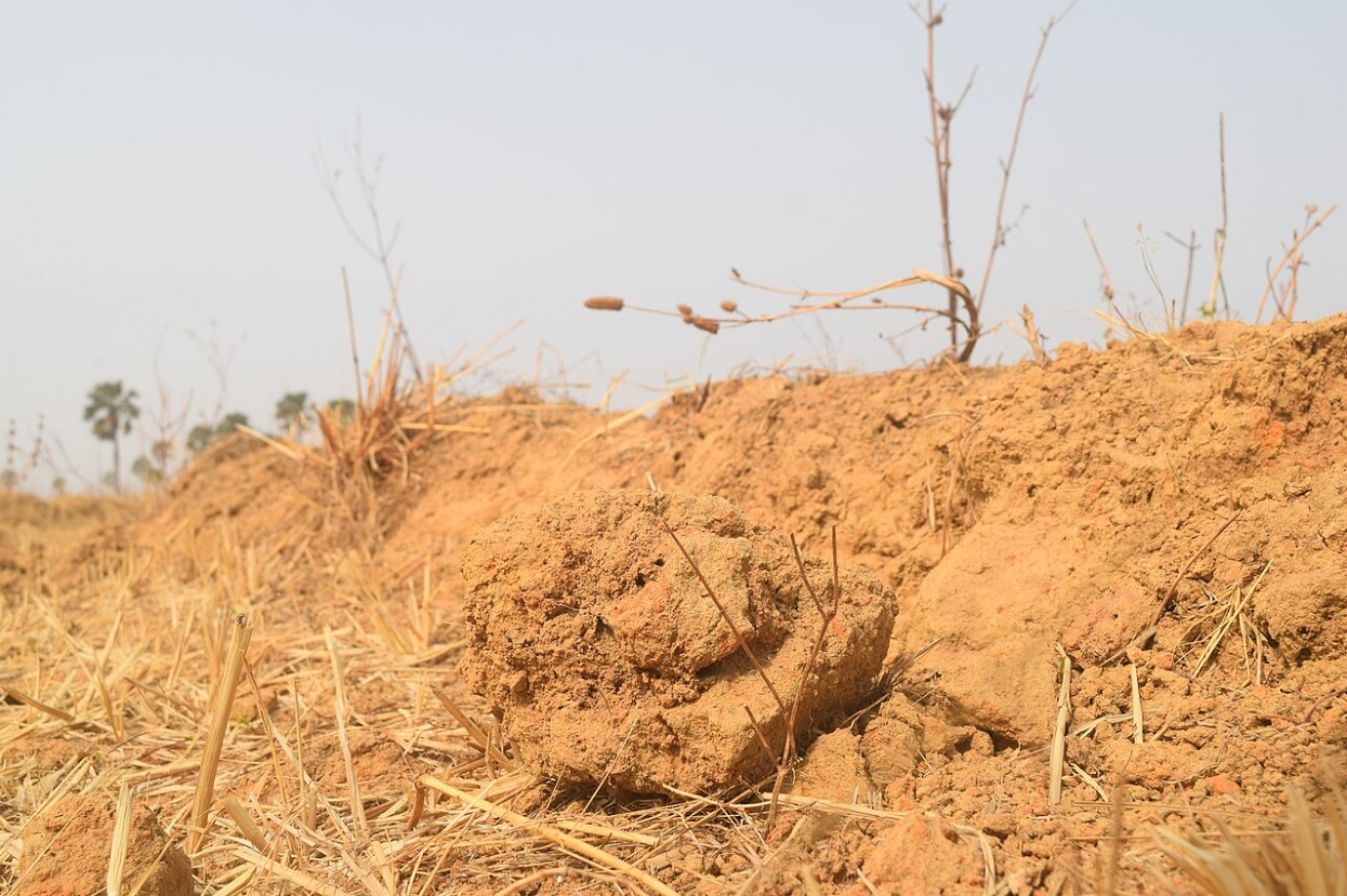 Dry clay soil in Africa