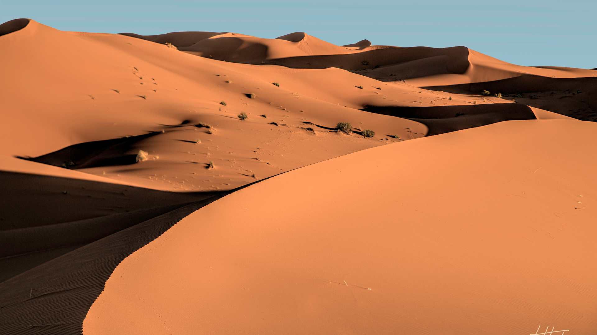 Moroccan sand dunes at sunset.