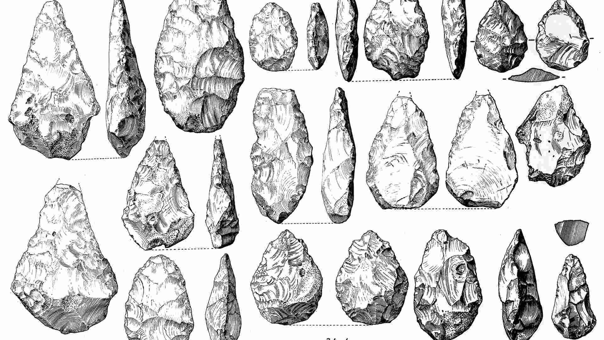 Stone tools used by ancient humans.