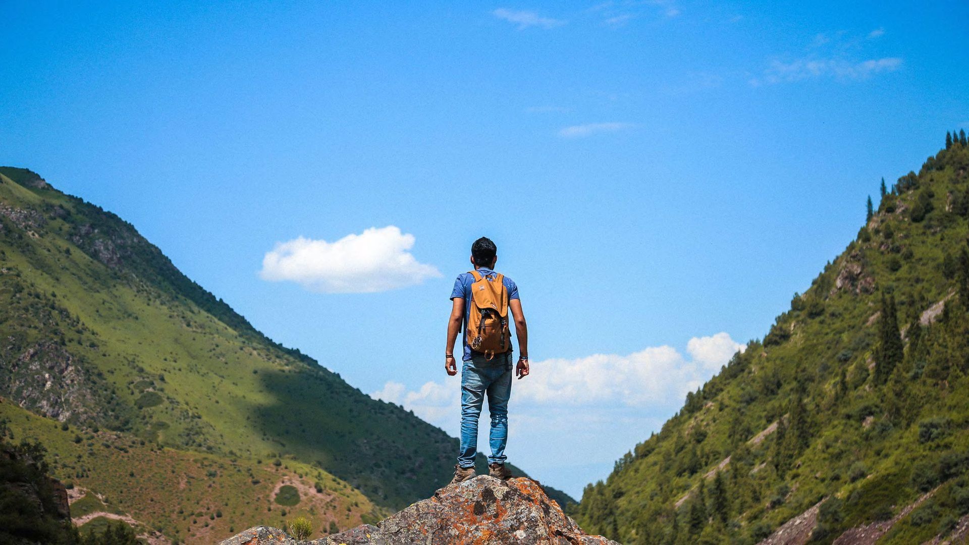 A young man from the back standing atop a mountain with orange backpack