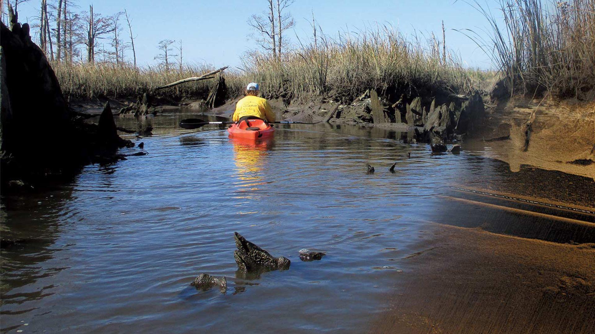 A person in a yellow kayak paddles through a narrow waterway surrounded by wetlands and bare trees