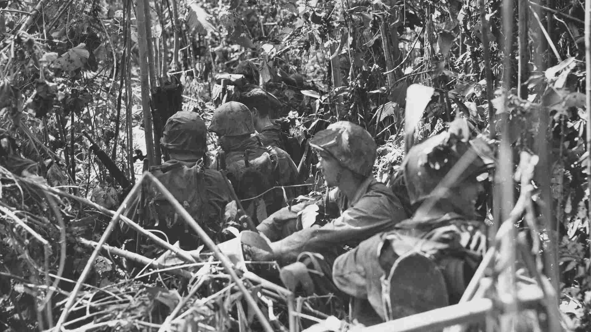 Marines sitting in the jungle during World War 2