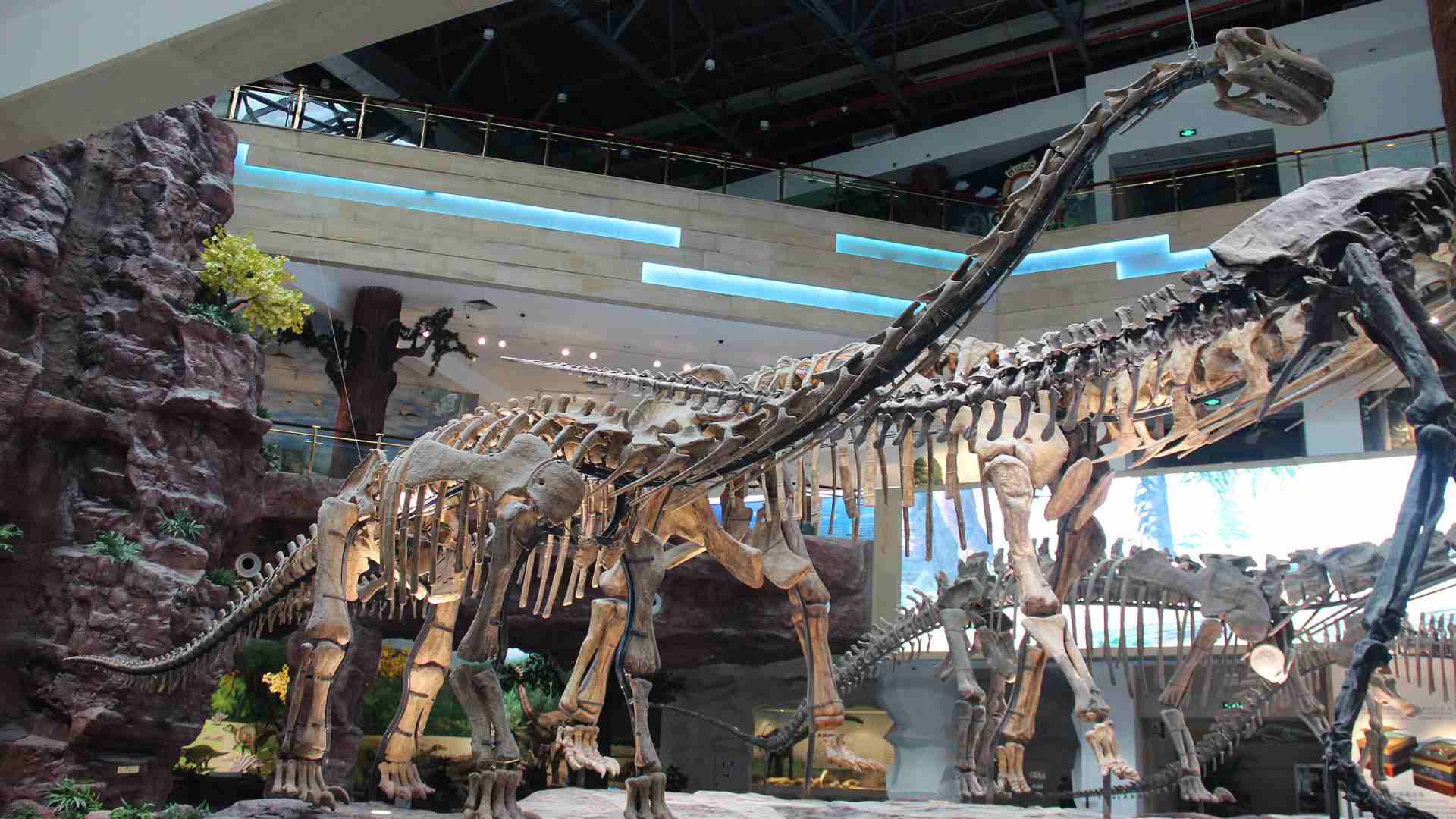 A Titanosaur variant in China.