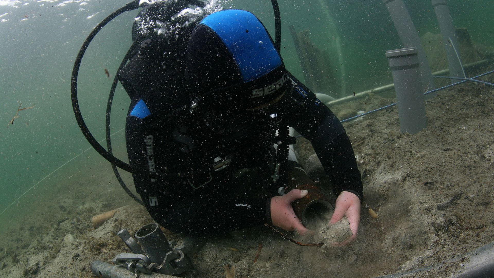 An underwater photo of a scuba diver dressed in a black wetsuit with blue trim and wearing a full face dive mask. The diver is kneeling on the sandy ocean floor, actively engaged in examining or collecting samples with their bare hands