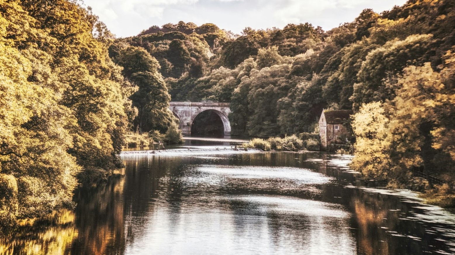 A river in England with a bridge in the background during the Autumn season in the daytime.