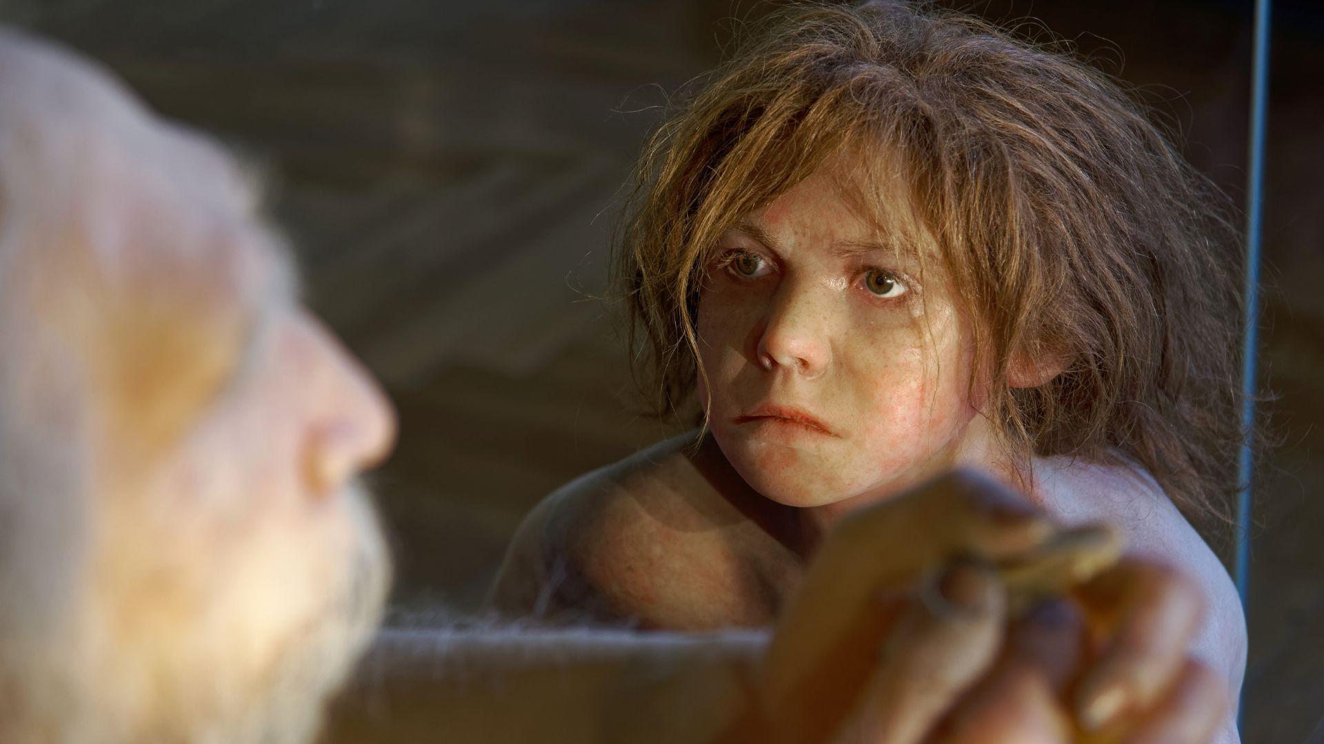An artistic model of a Homo neanderthalensis child in The Natural History Museum, Vienna.