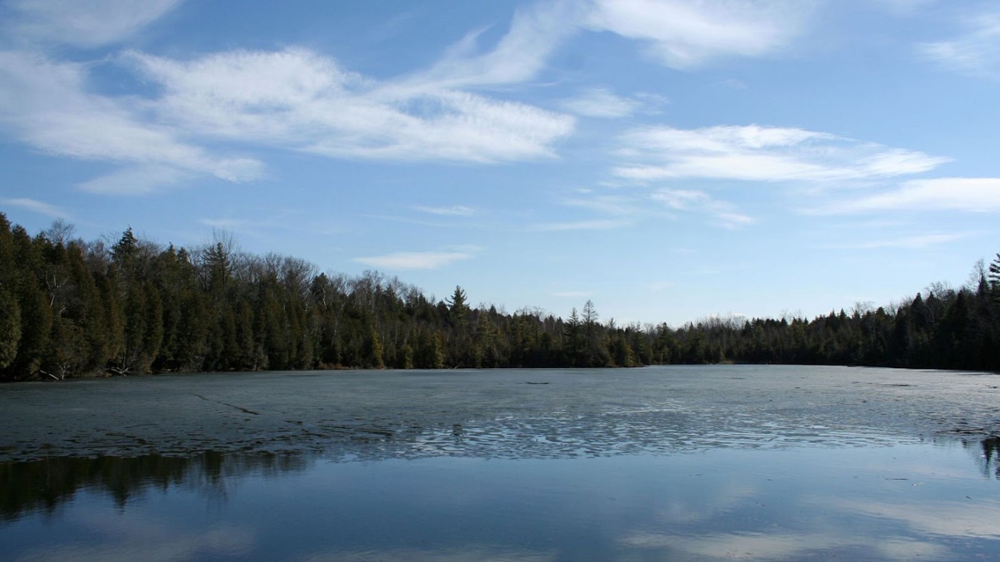 A serene, expansive lake with still water reflecting the blue sky dotted with wispy clouds. The lake is bordered by a dense forest of evergreen trees