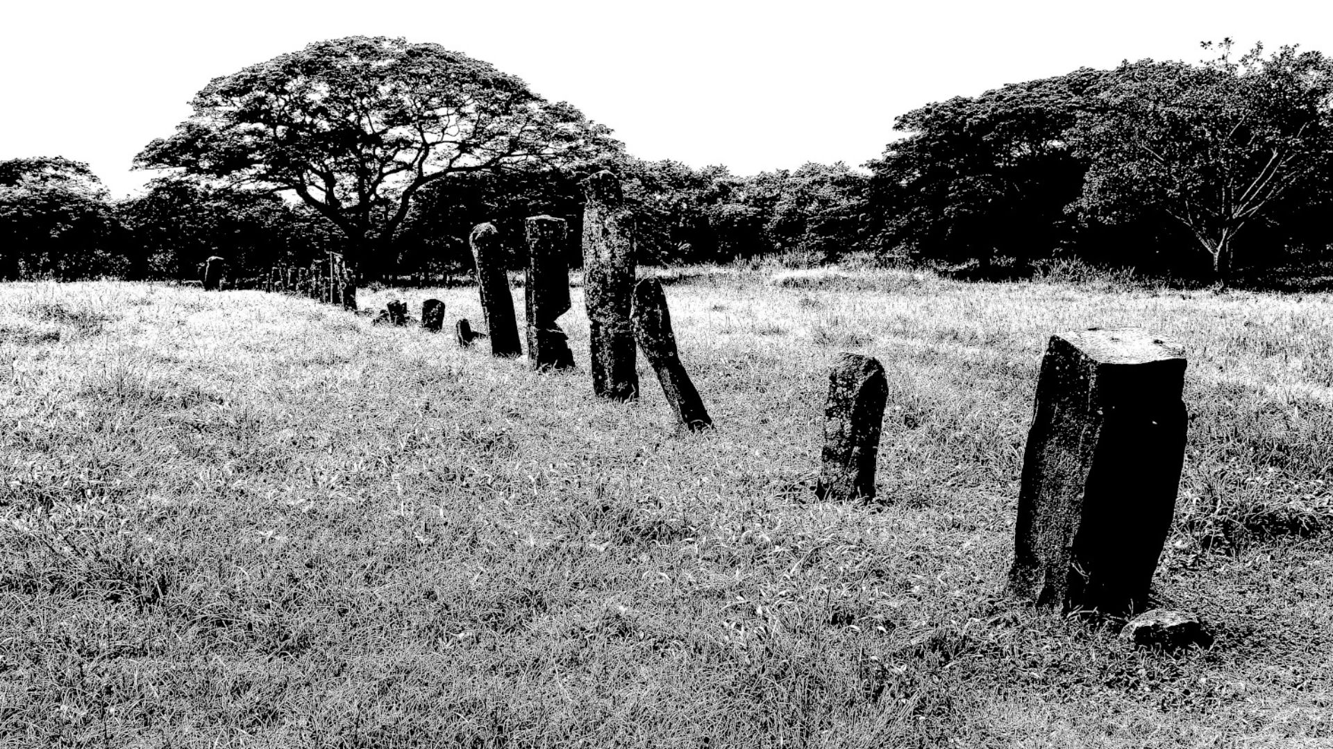 A black and white photograph of old stones associated with the Coclé people at the El Caño Archaeological Park in Panama.