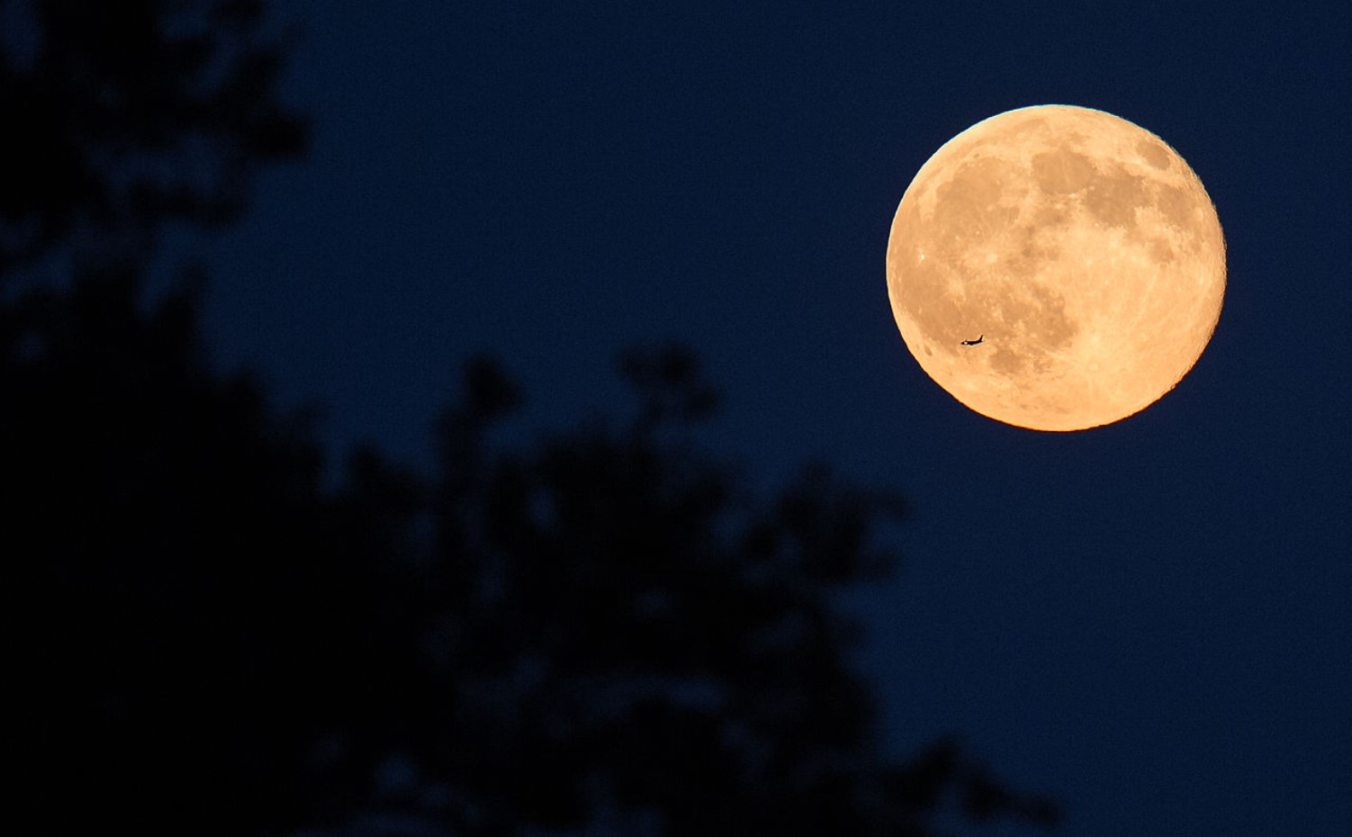 An image of a bright yellow full moon in the night sky