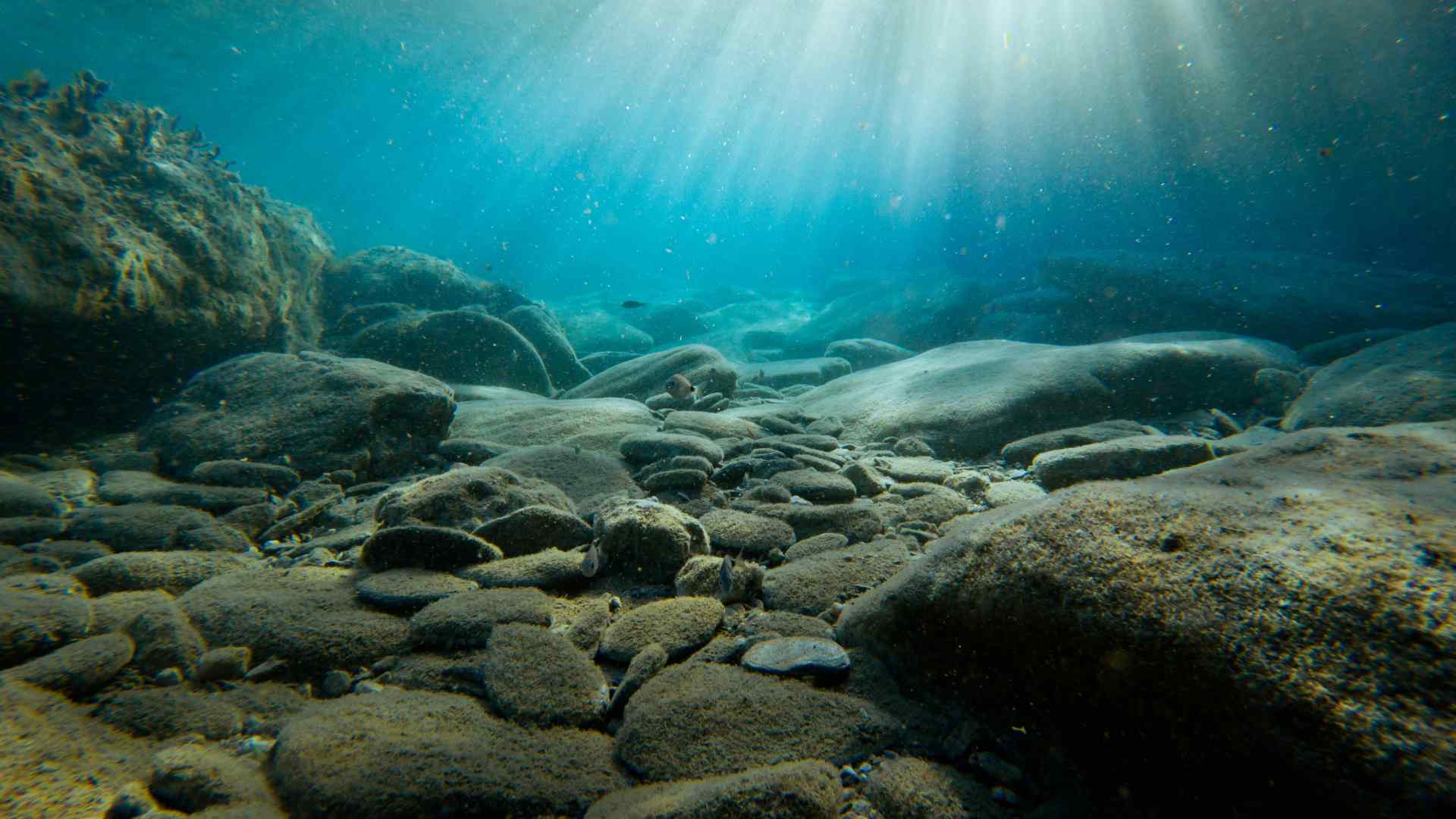 Light shines on the bottom of an area of water.