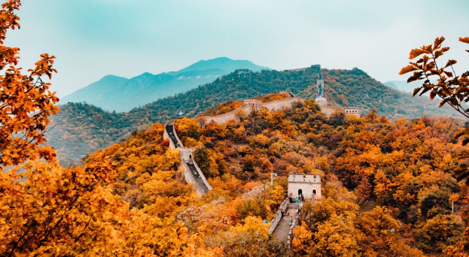 The Great Wall of China from an aerial view. People are walking along the wall at various points. Trees in fall surround the wall.