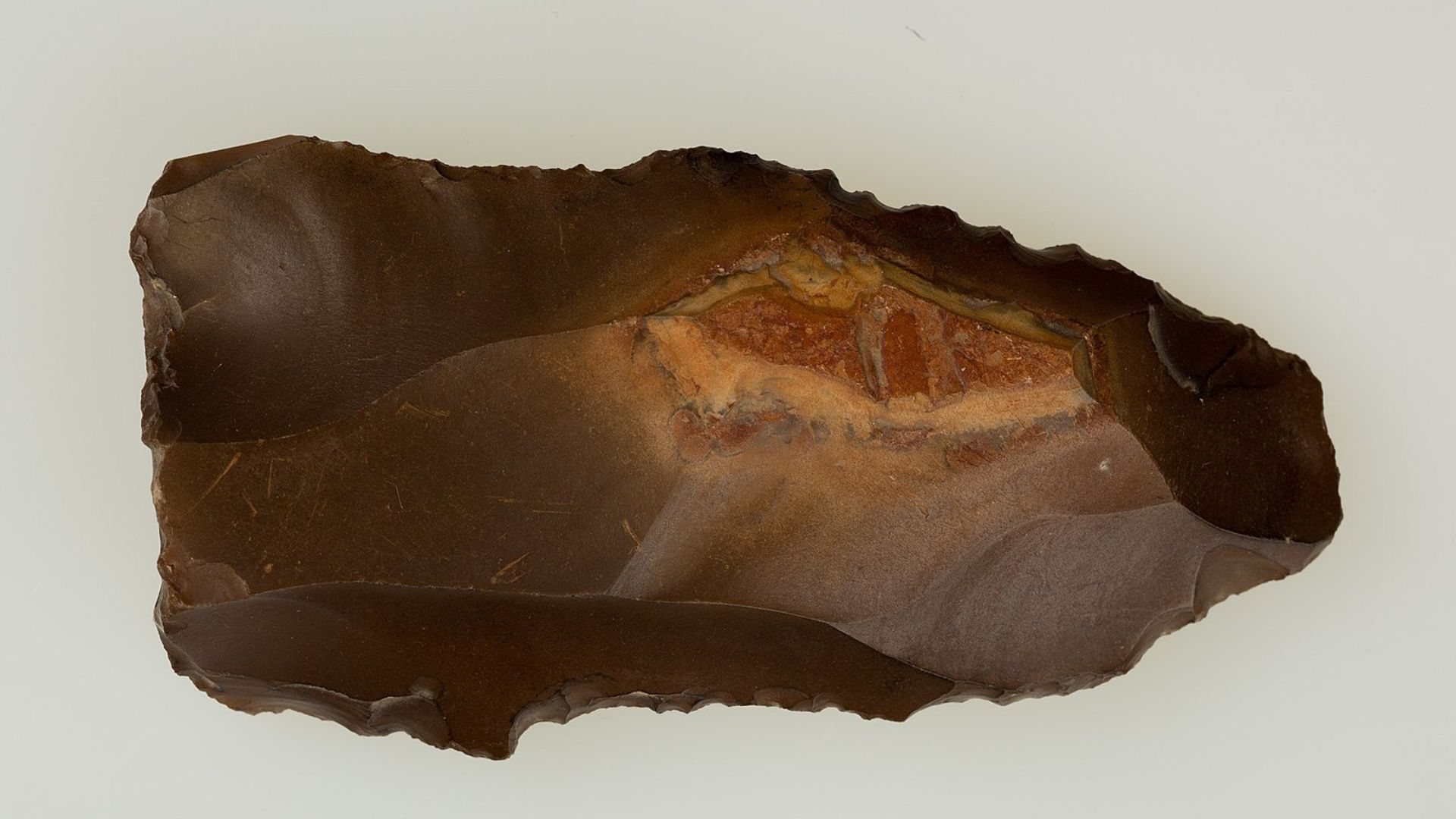 An image of a dark brown ancient stone tool with chipped edges and a smooth surface