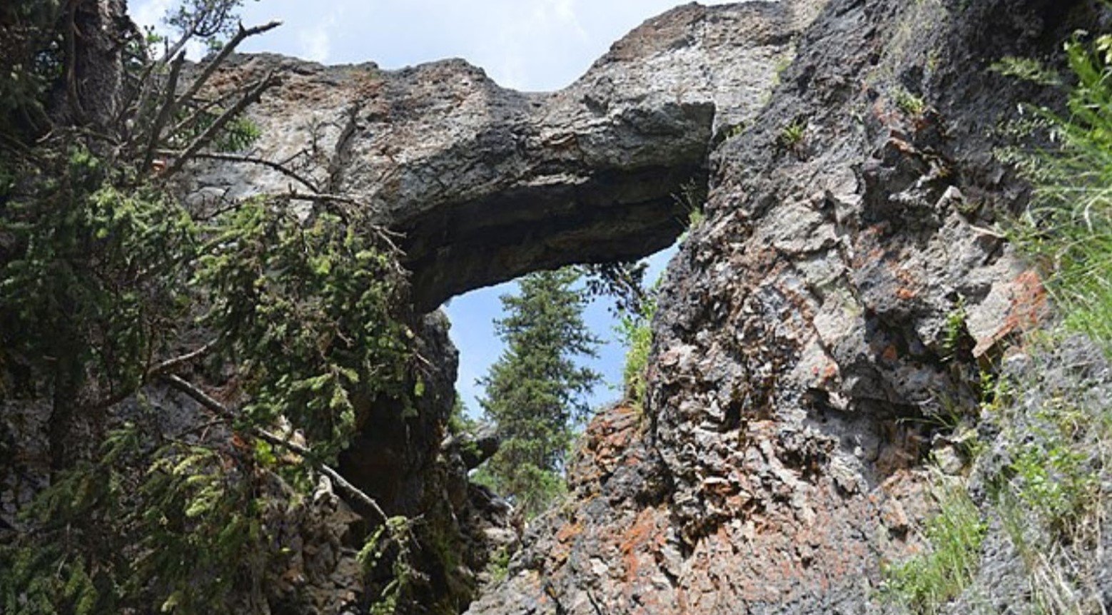An image of Yellowstone Natural Bridge at Yellowstone National Park. It is very rocky and treacherous and is surrounded by trees.