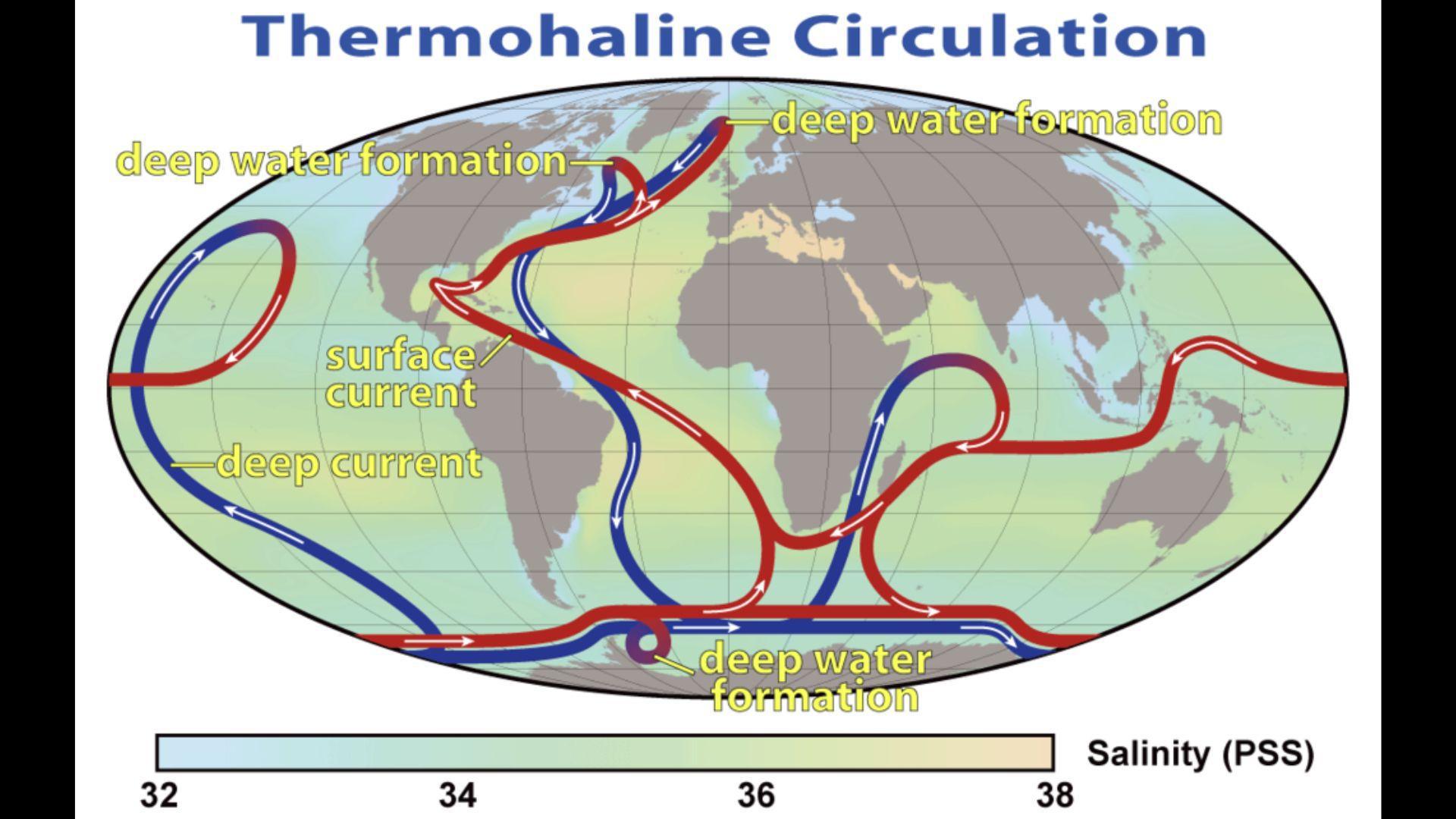 This map shows the pattern of the thermohaline circulation, also known as "meridional overturning circulation"