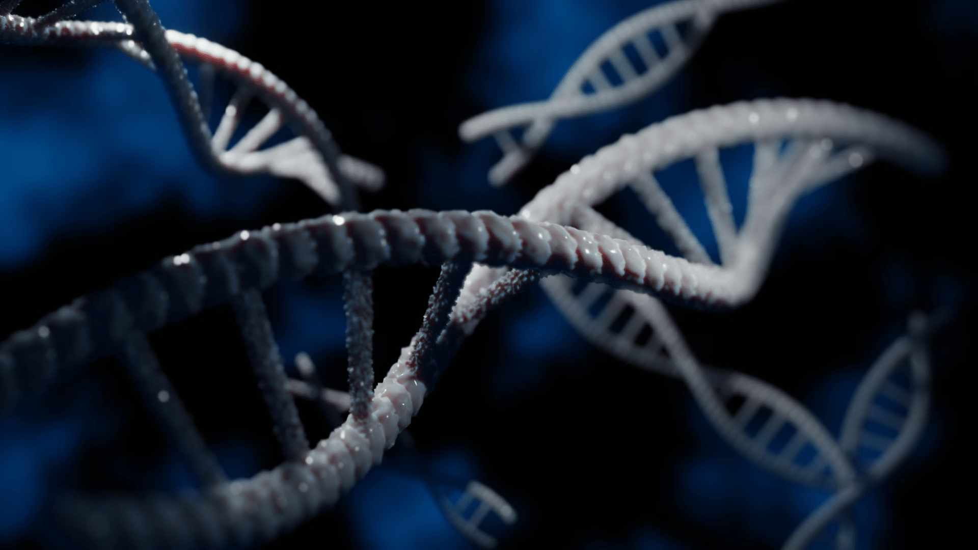 3D rendering of DNA strands. The strands are an off-white color, there are numerous pieces of the DNA, and they are all floating around in a dark and semi-blue environment.
