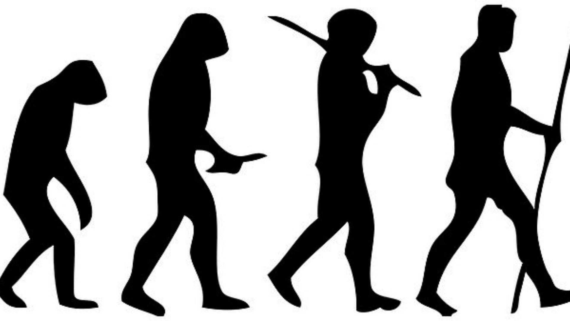 Four versions of humans from the beginning to what we look like today, in black silhouette form. The first version is hunched over and has a little bit of a tail and as the human progresses, it is stood up straight and has no tail.