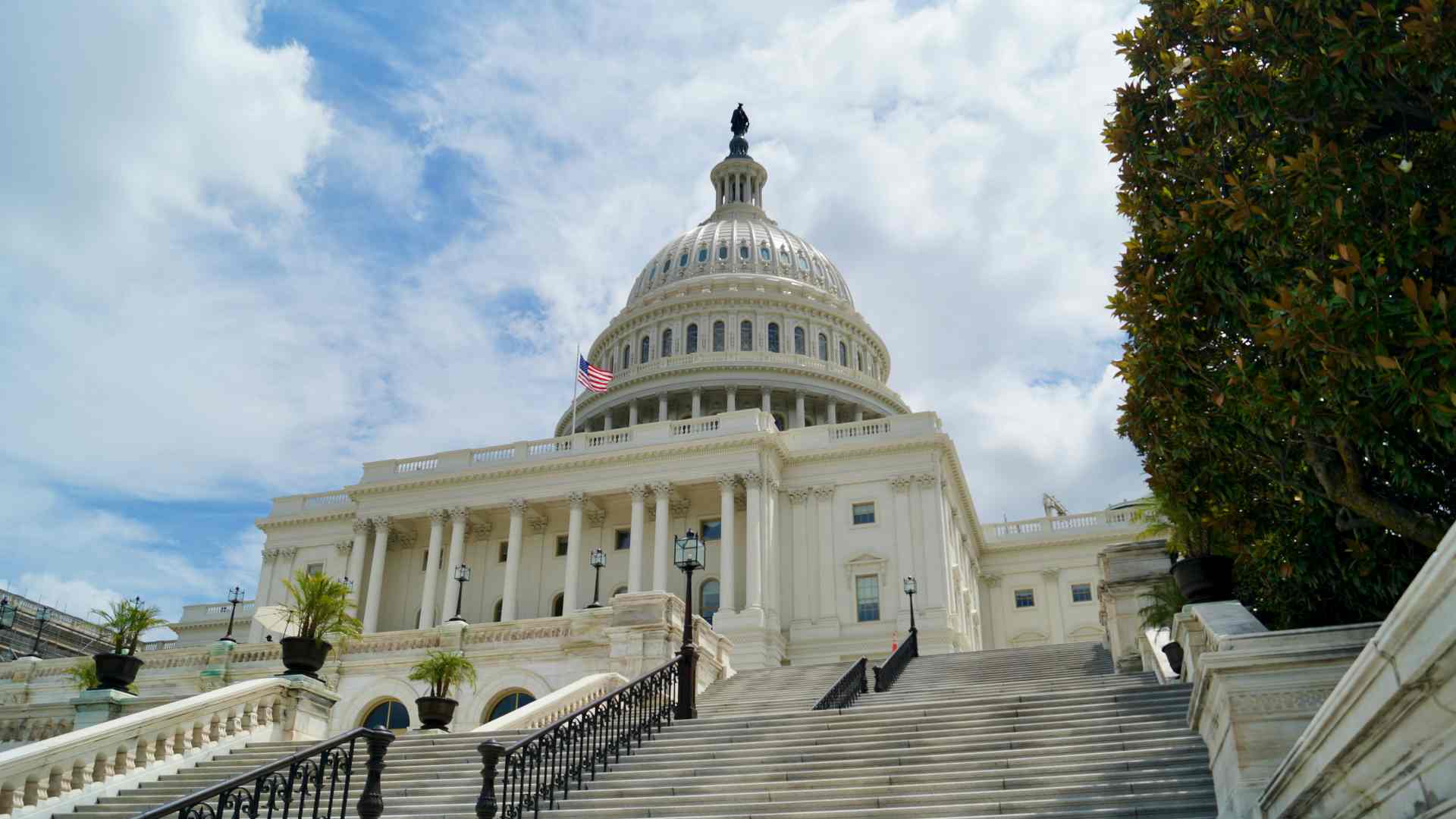 A look from the bottom of the stairs at the US capitol building.